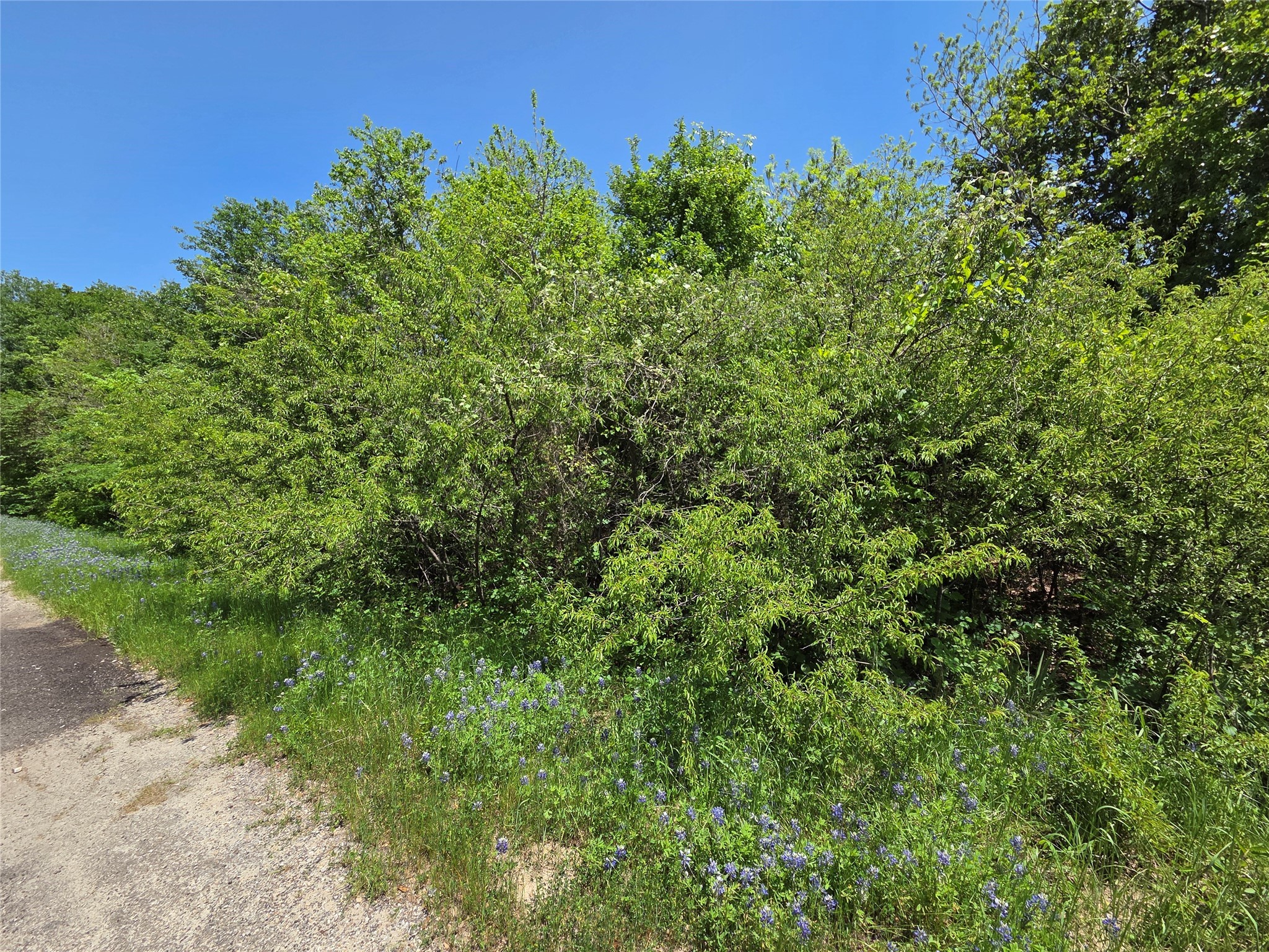 Lot 2 SE CR 3258