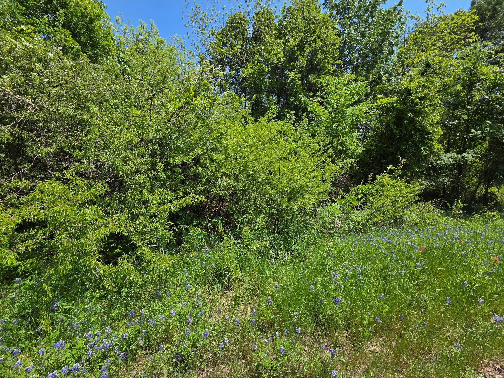 Lot 2 SE CR 3258