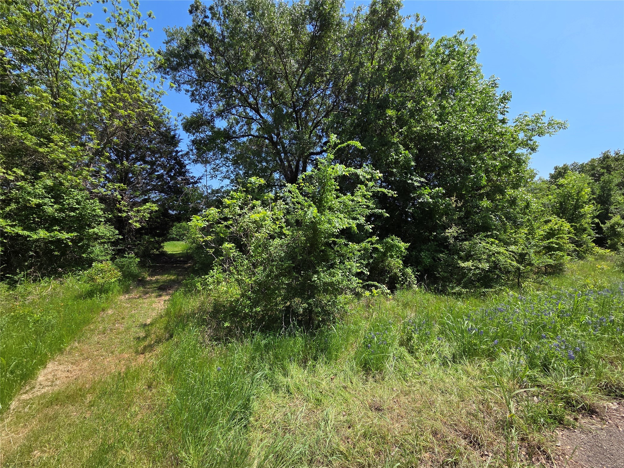Lot 2 SE CR 3258