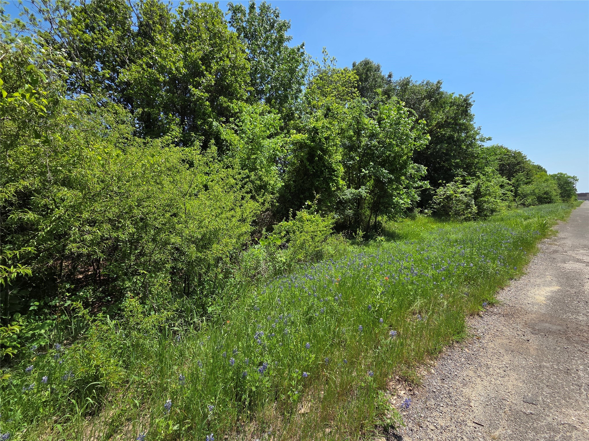 Lot 2 SE CR 3258