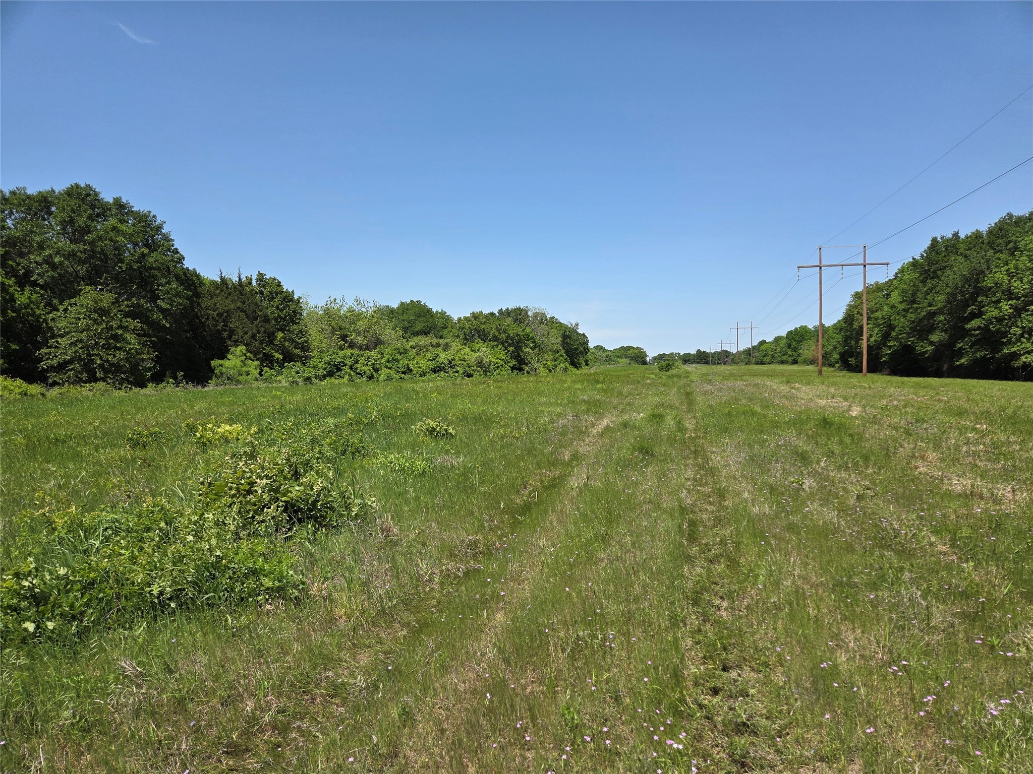 Lot 2 SE CR 3258