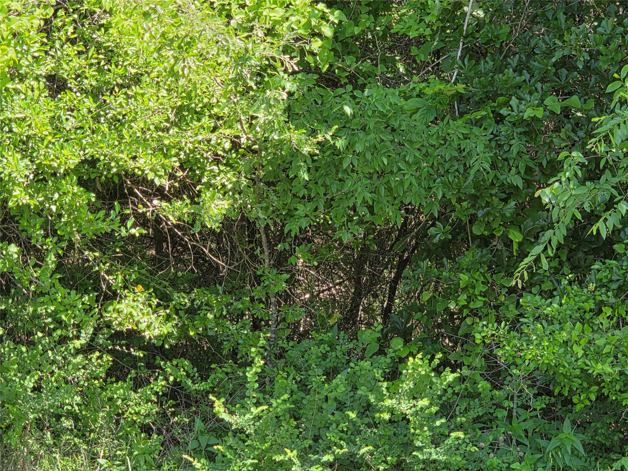 Lot 2 SE CR 3258