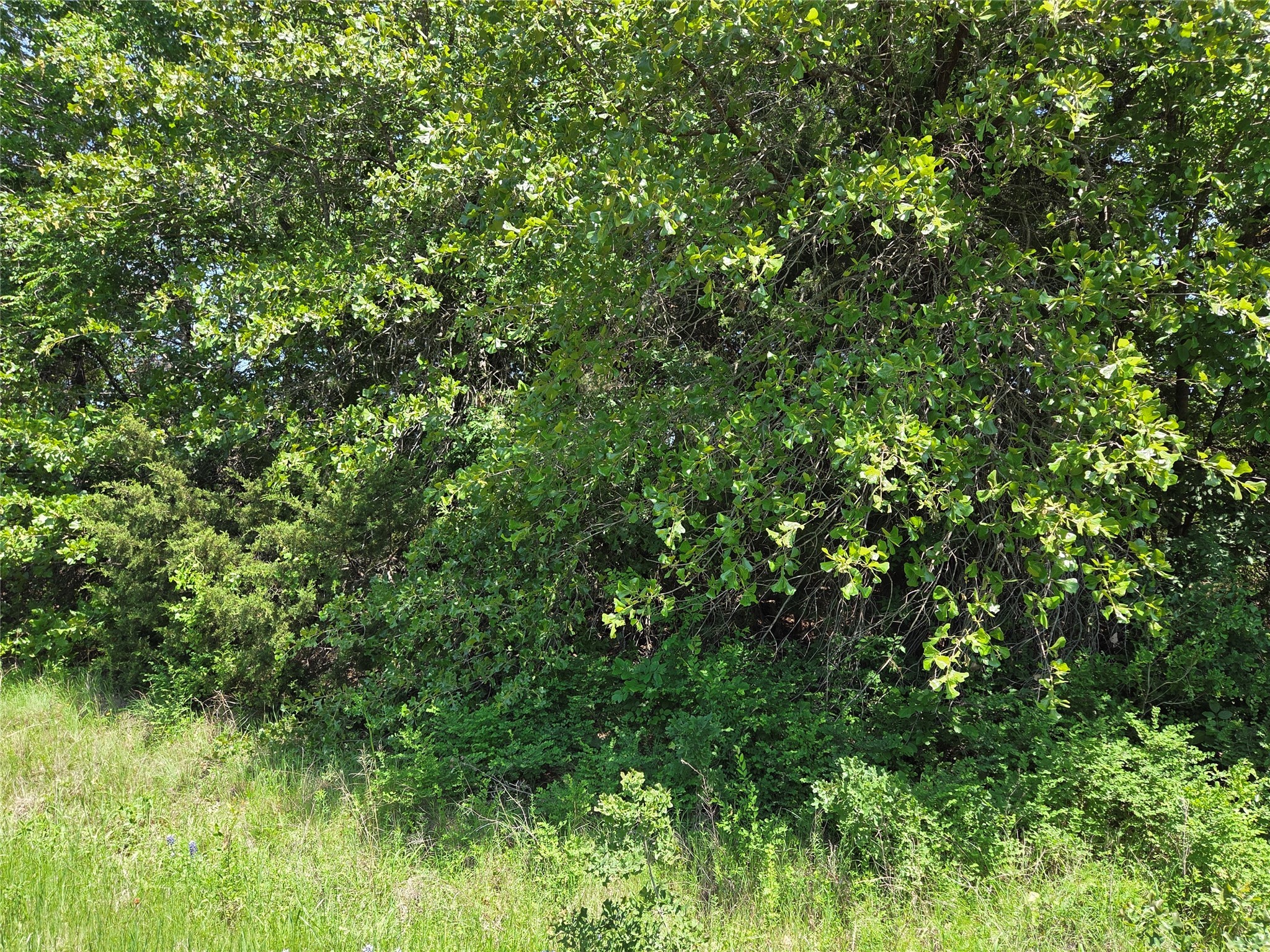 Lot 3 SE CR 3258