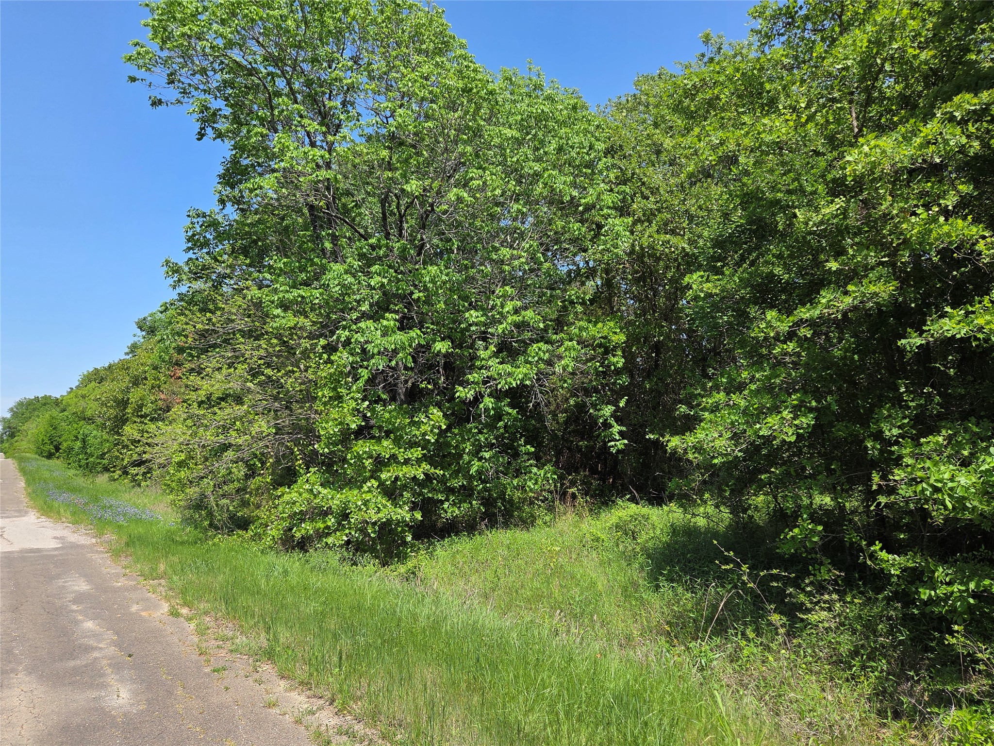 Lot 3 SE CR 3258