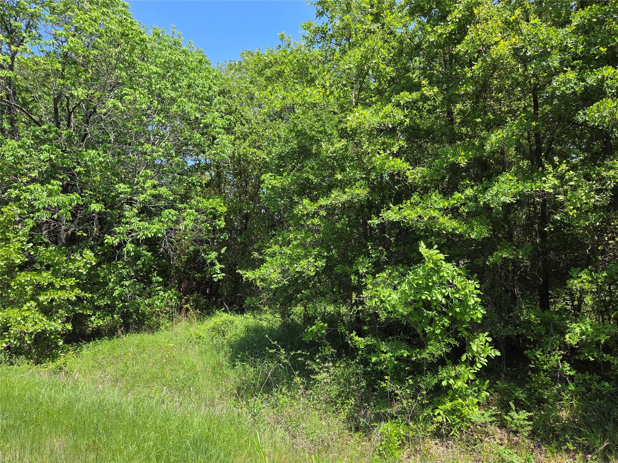 Lot 3 SE CR 3258