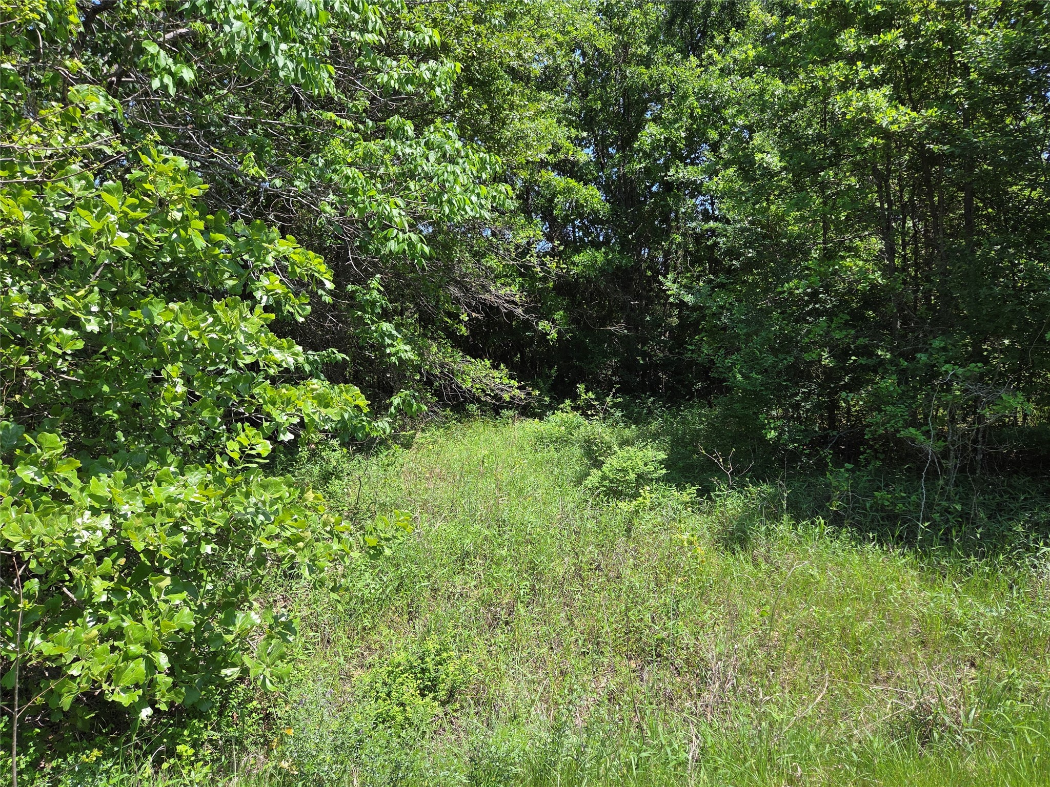 Lot 3 SE CR 3258