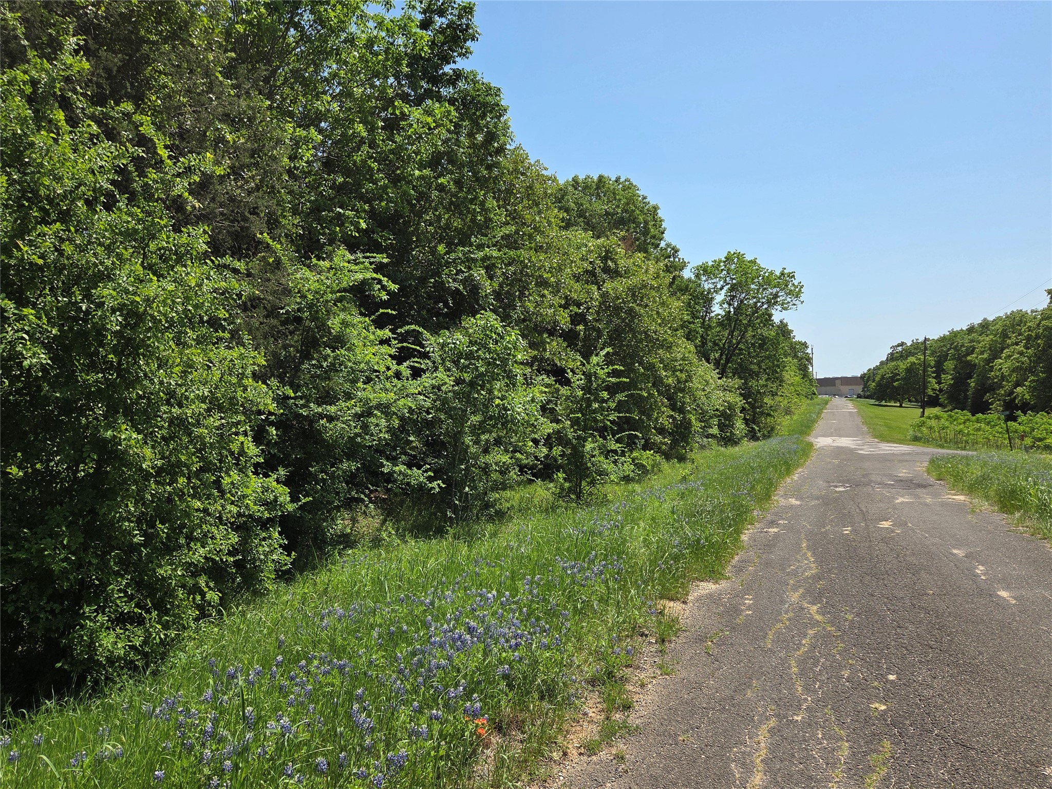 Lot 3 SE CR 3258