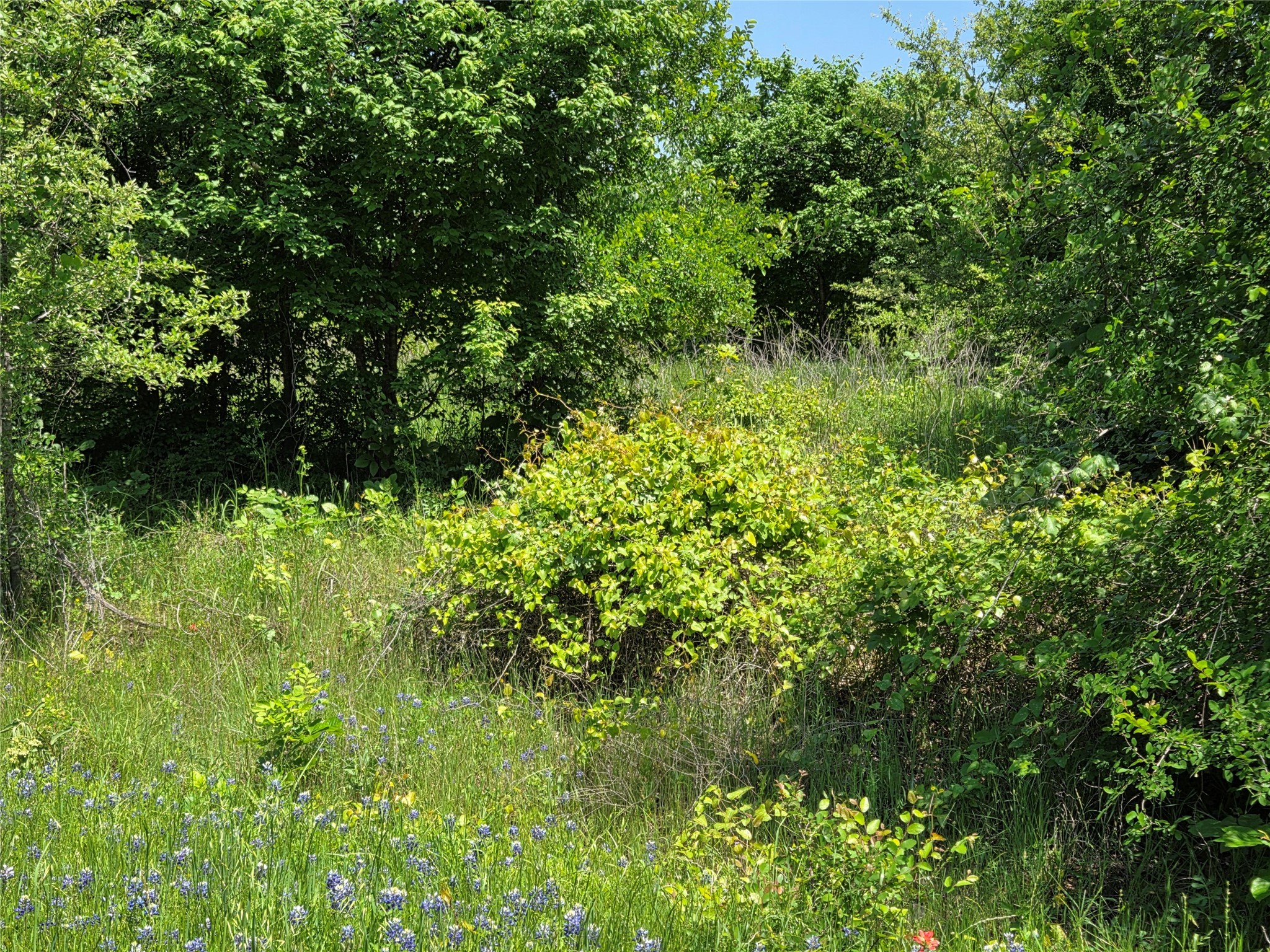 Lot 3 SE CR 3258