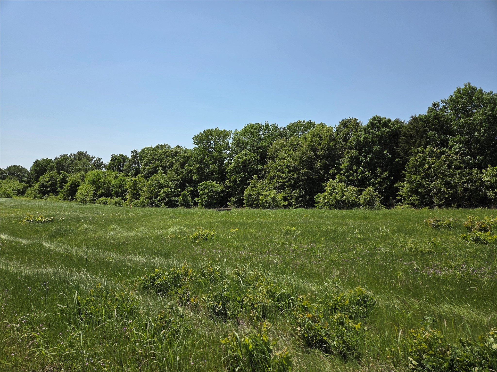 Lot 3 SE CR 3258