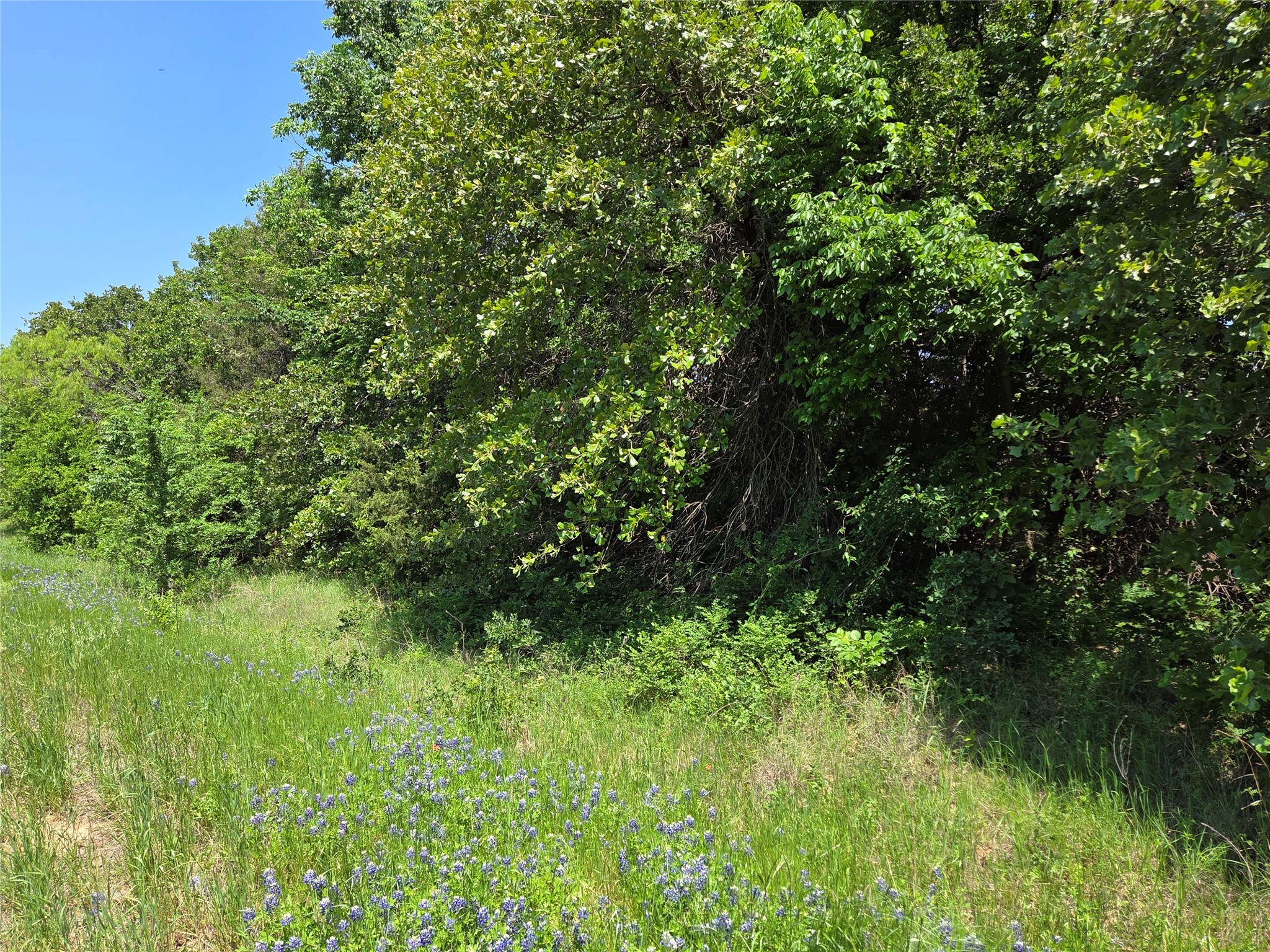 Lot 3 SE CR 3258