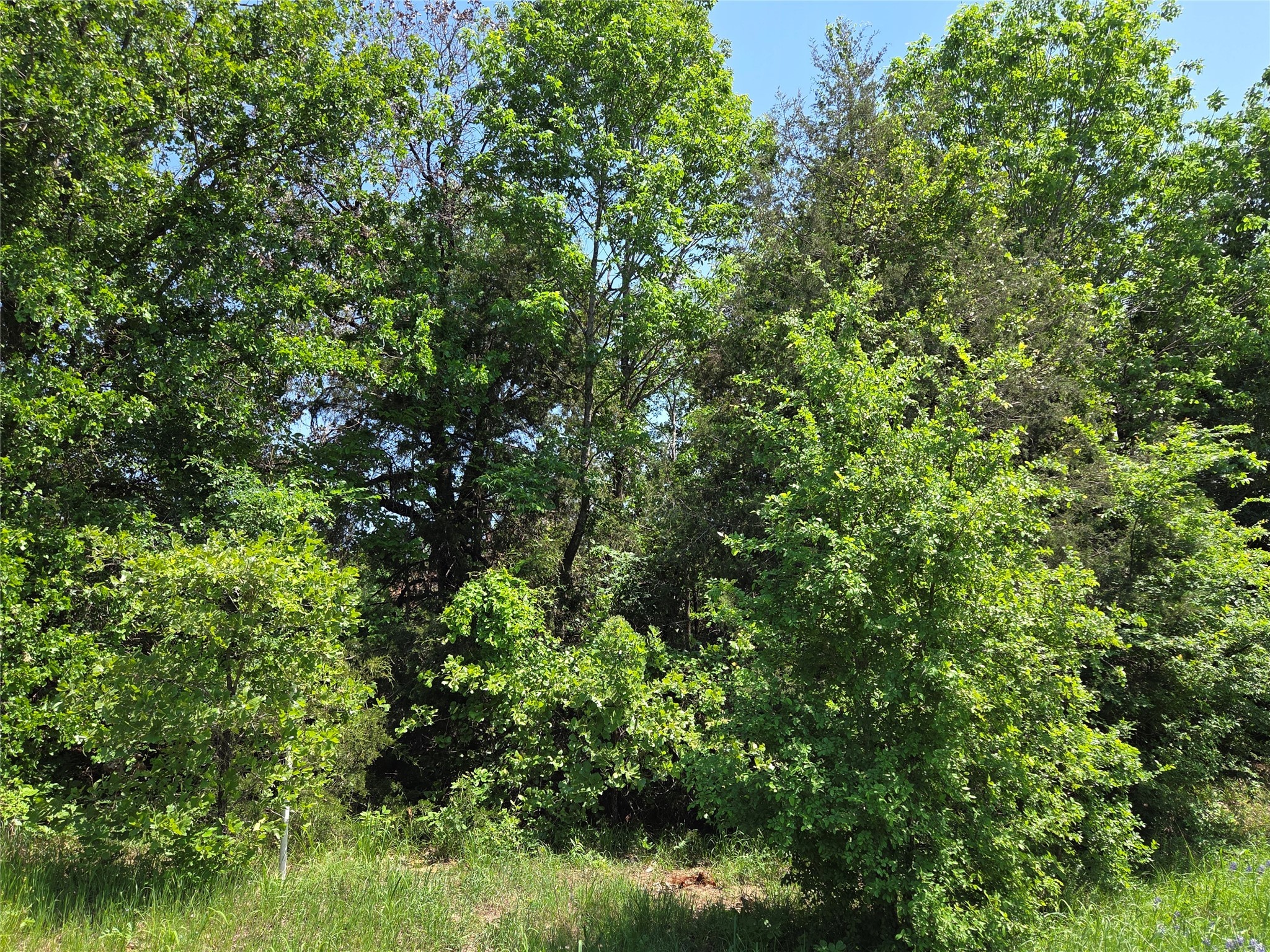 Lot 3 SE CR 3258