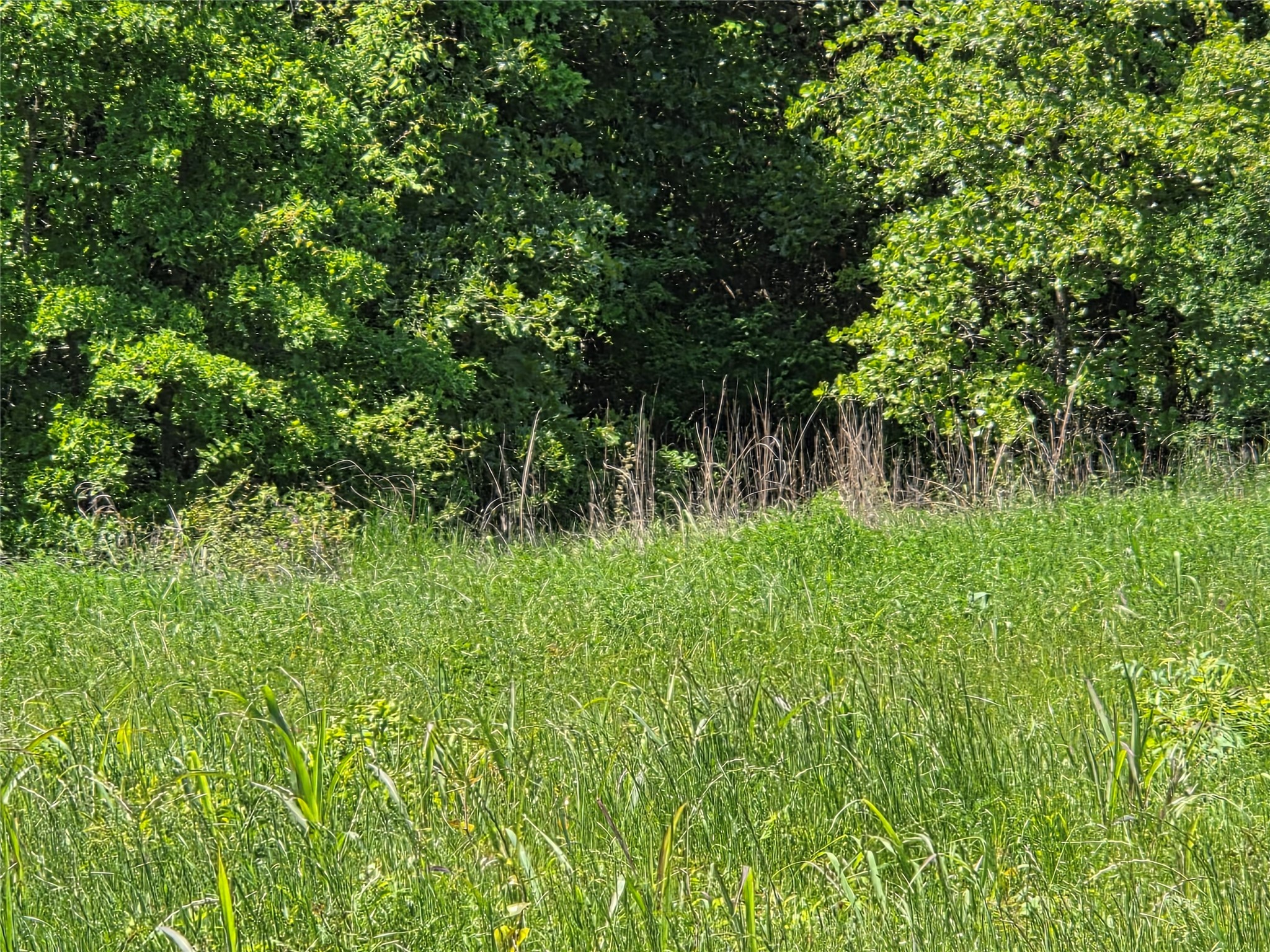 Lot 3 SE CR 3258