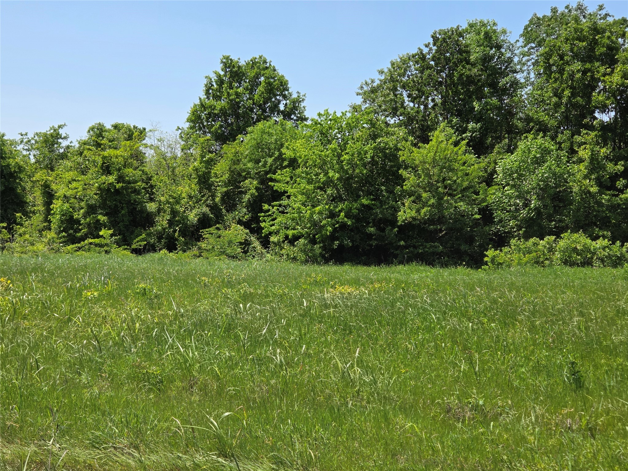 Lot 3 SE CR 3258