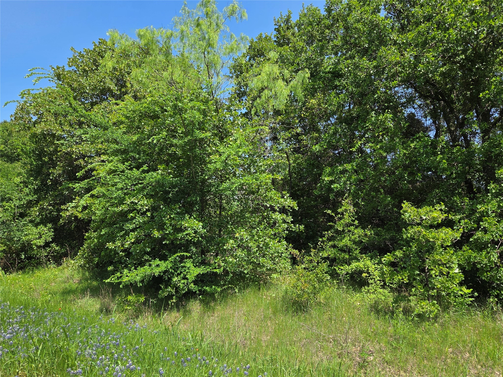 Lot 3 SE CR 3258