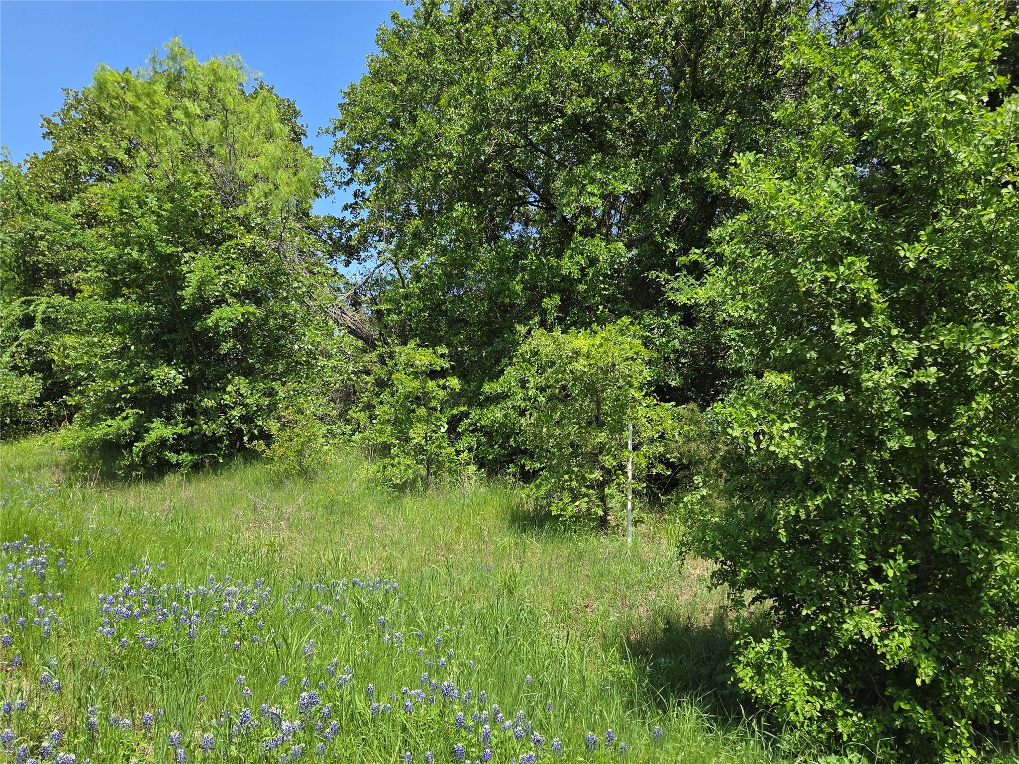 Lot 3 SE CR 3258