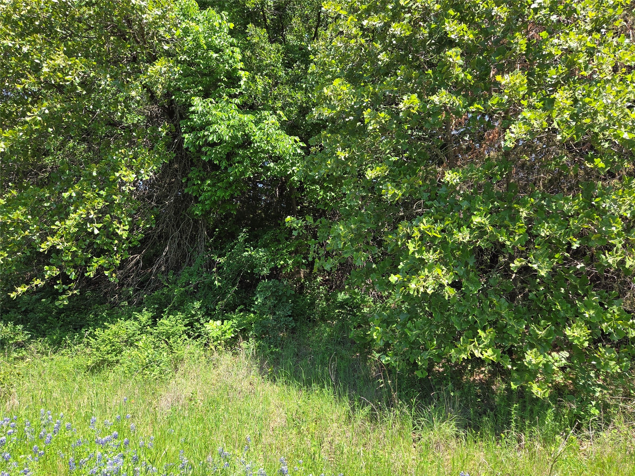Lot 3 SE CR 3258