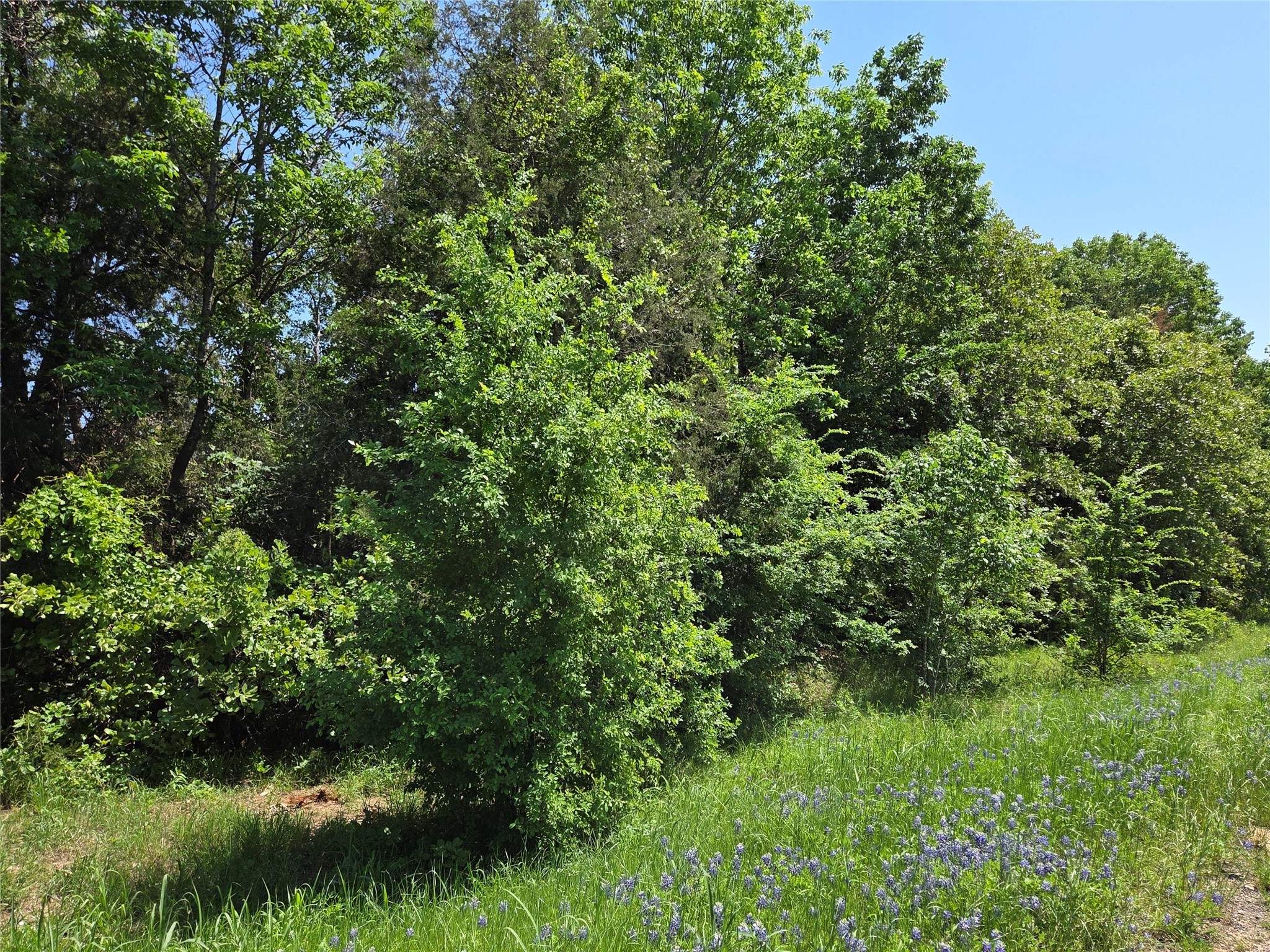 Lot 3 SE CR 3258