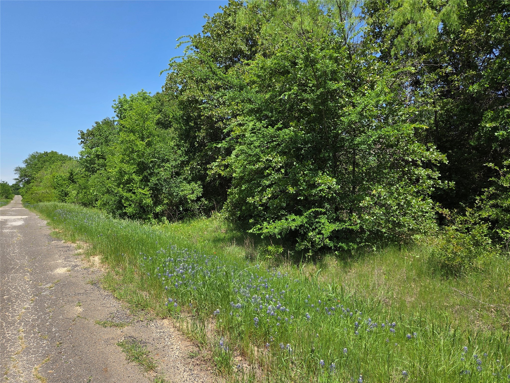 Lot 3 SE CR 3258