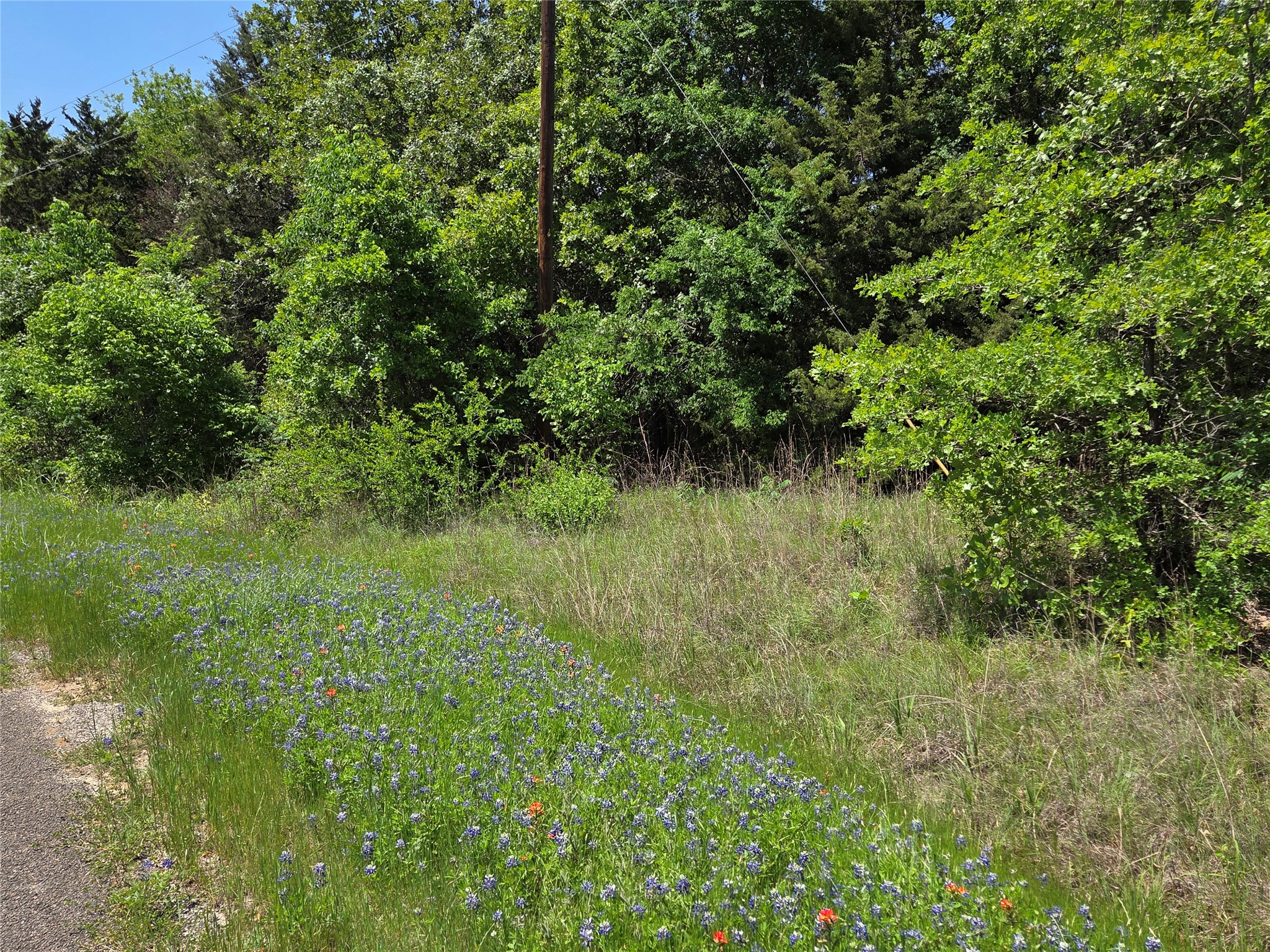 Lot 10 SE CR 3258
