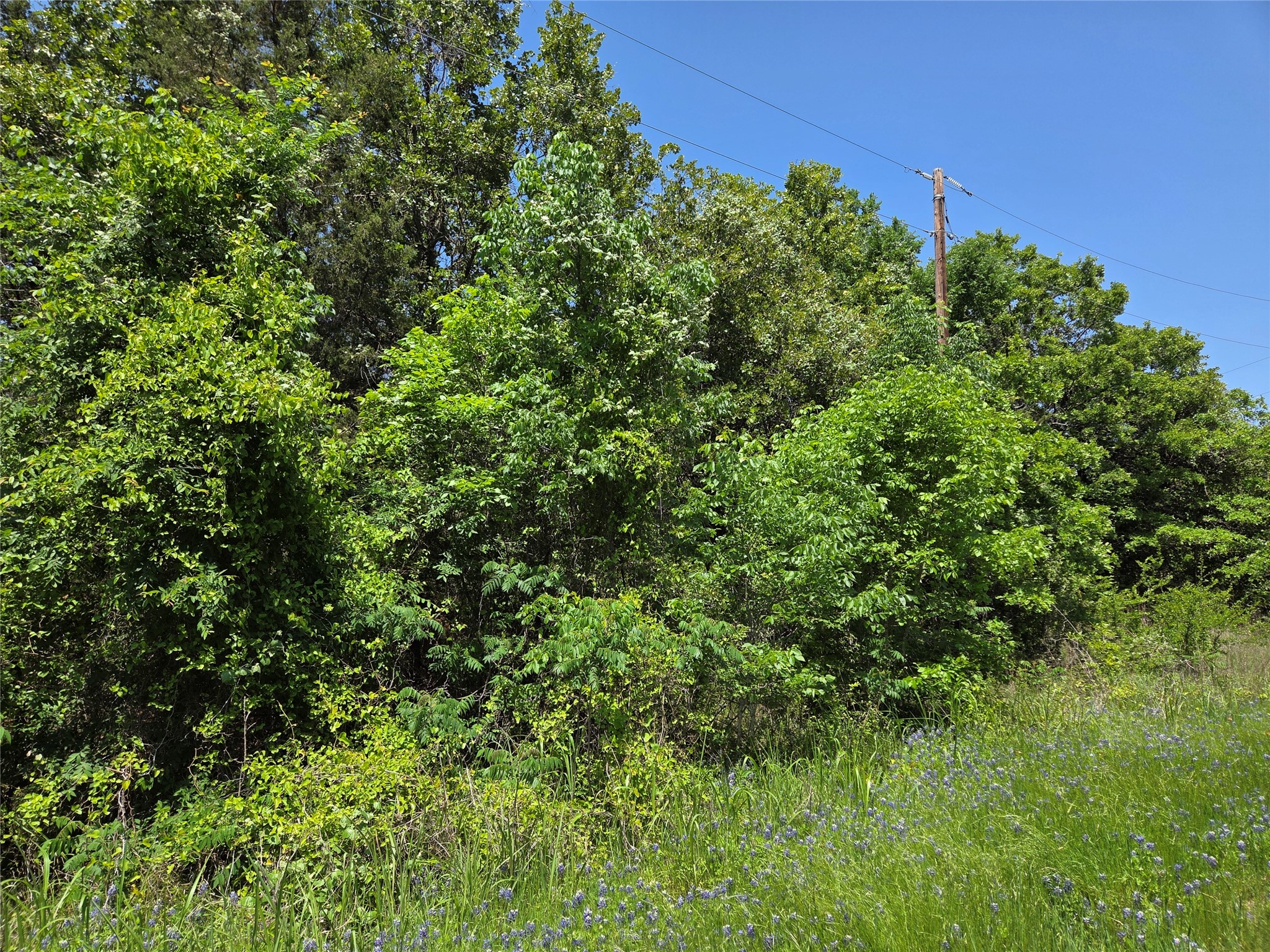 Lot 10 SE CR 3258
