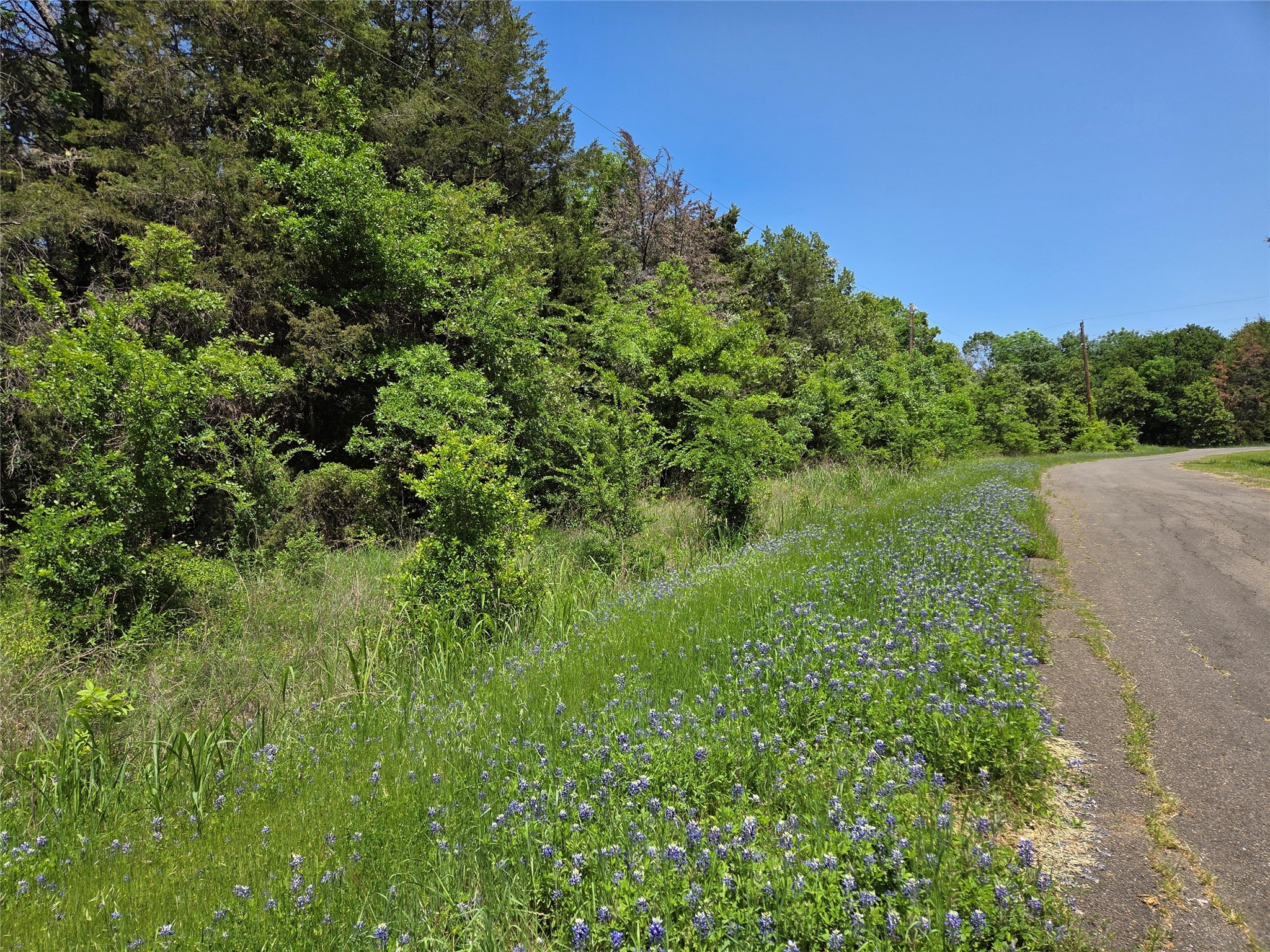 Lot 10 SE CR 3258