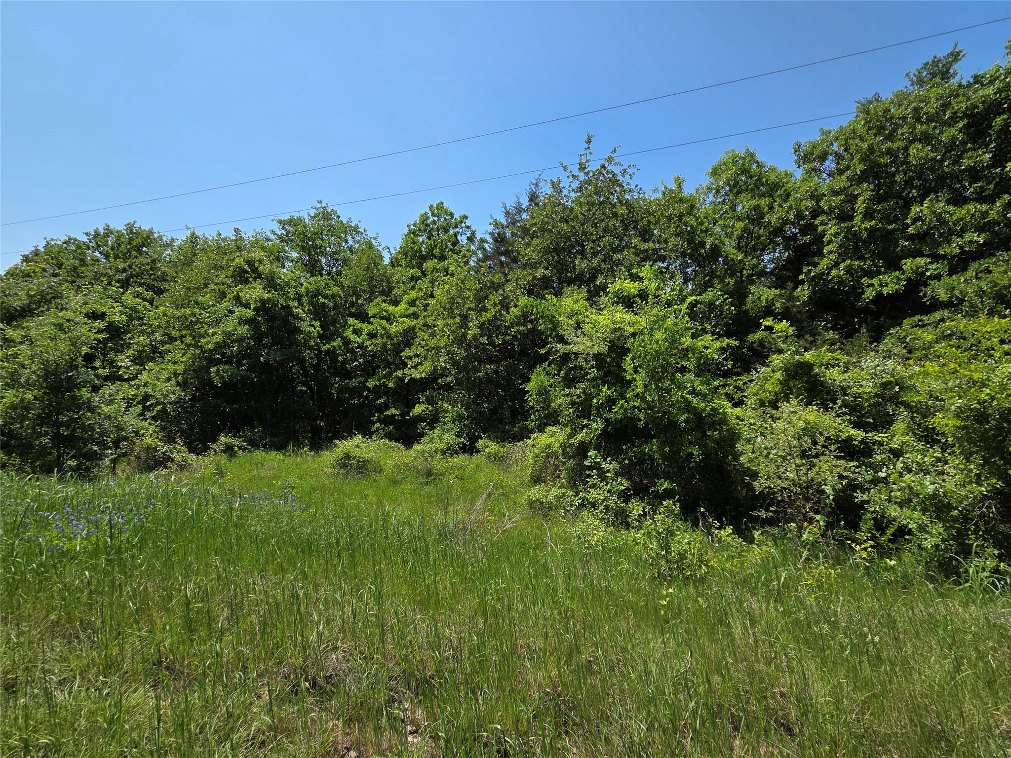 Lot 10 SE CR 3258