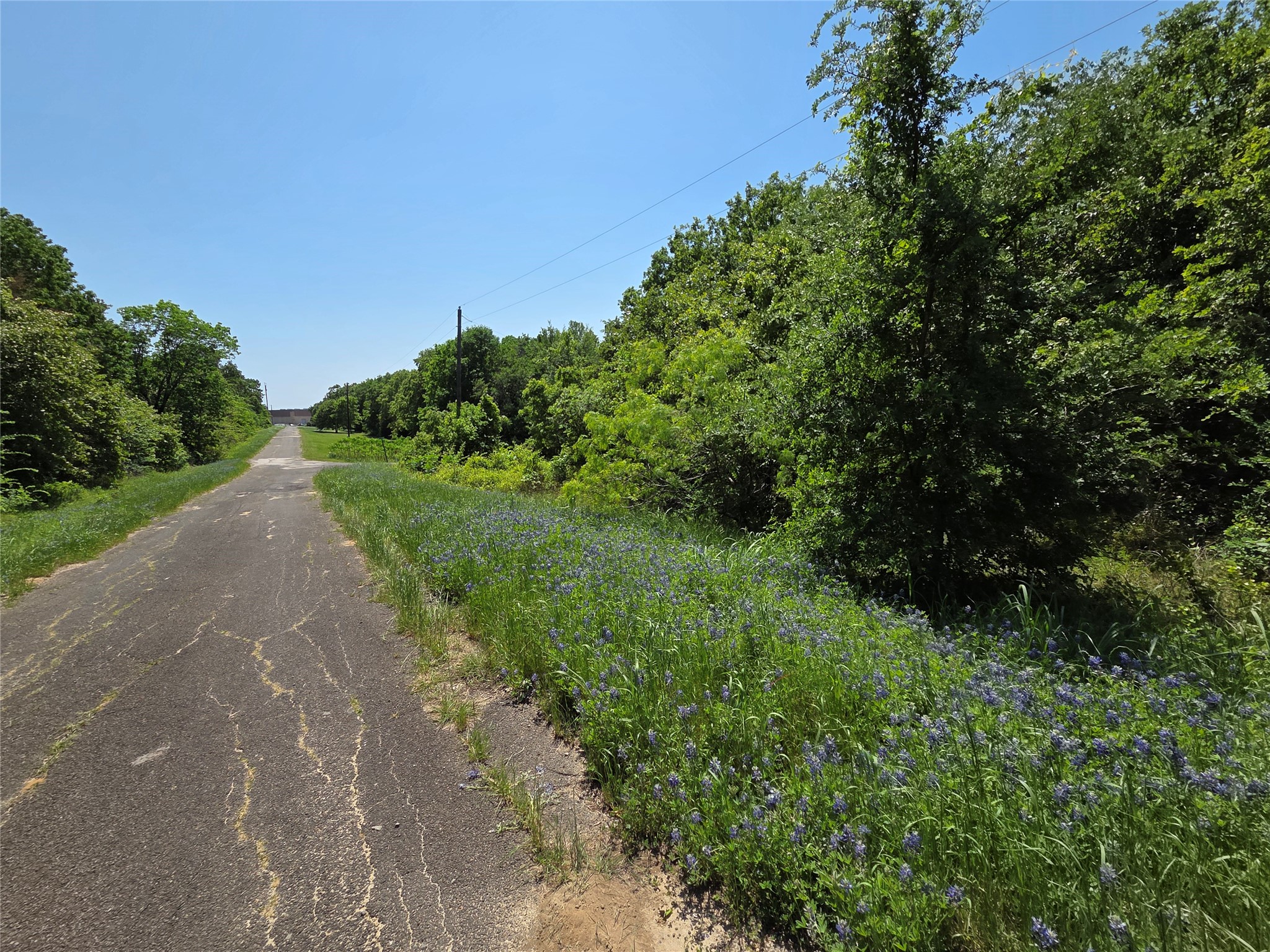 Lot 10 SE CR 3258