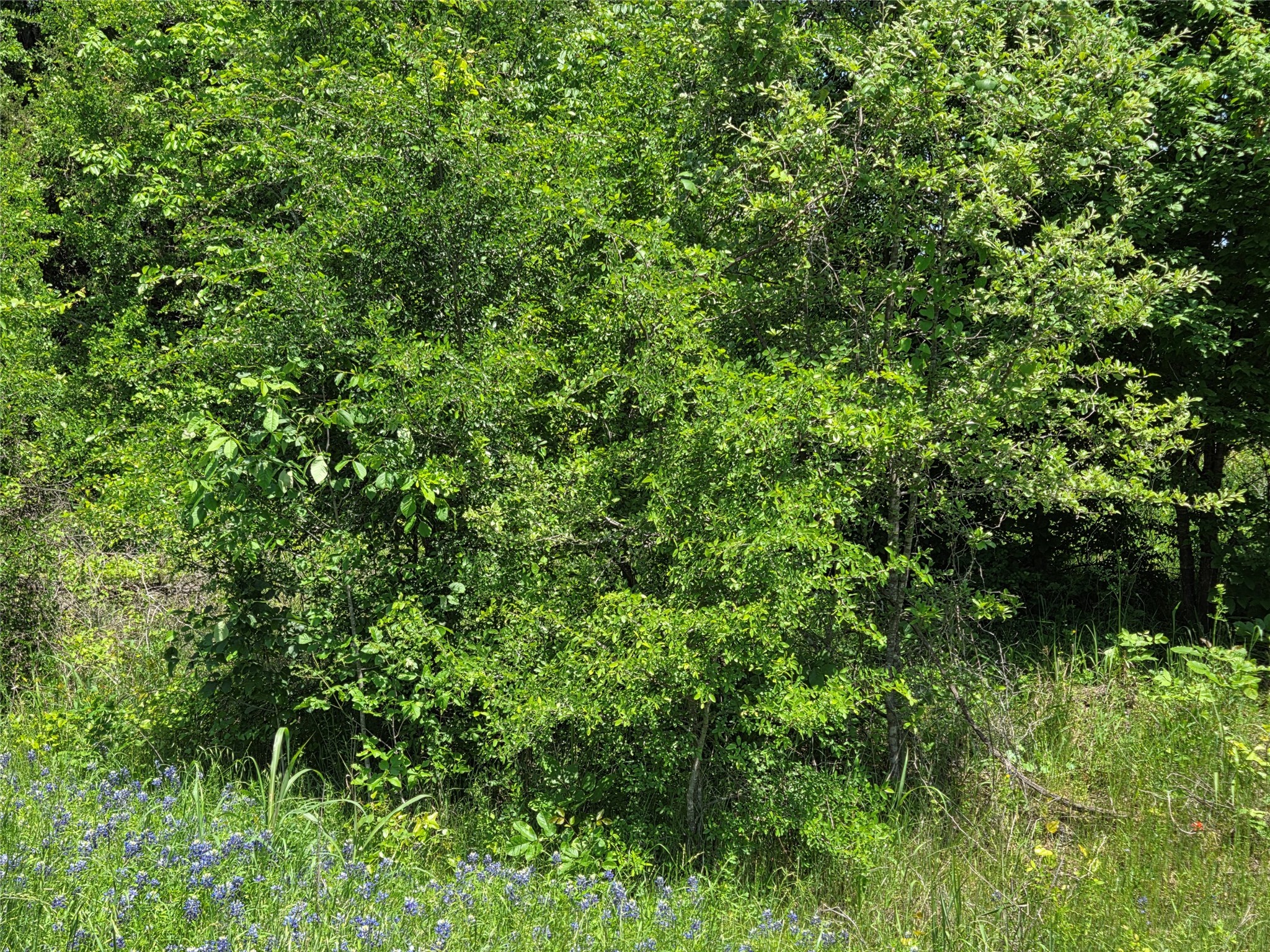 Lot 10 SE CR 3258