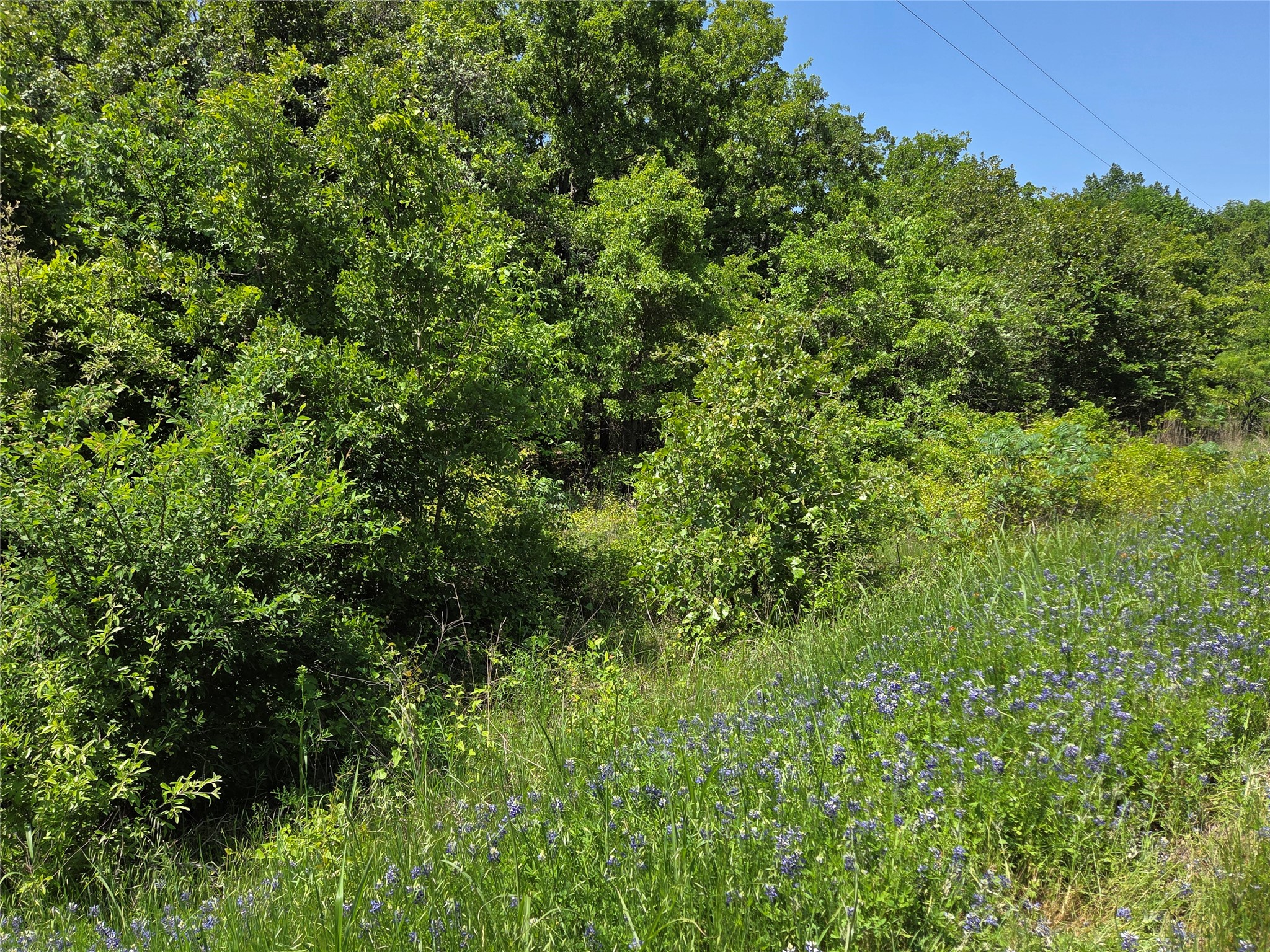 Lot 10 SE CR 3258