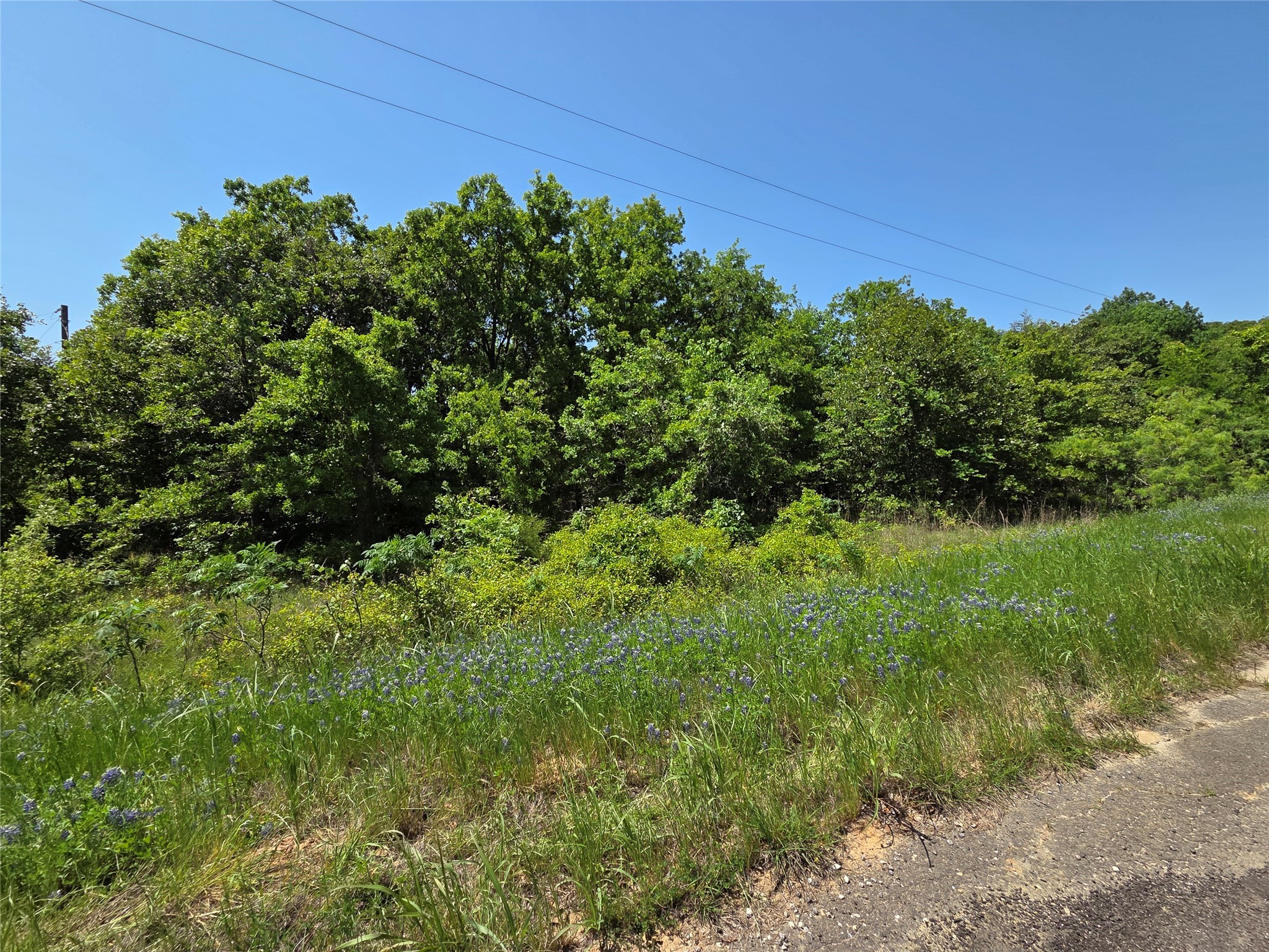 Lot 10 SE CR 3258