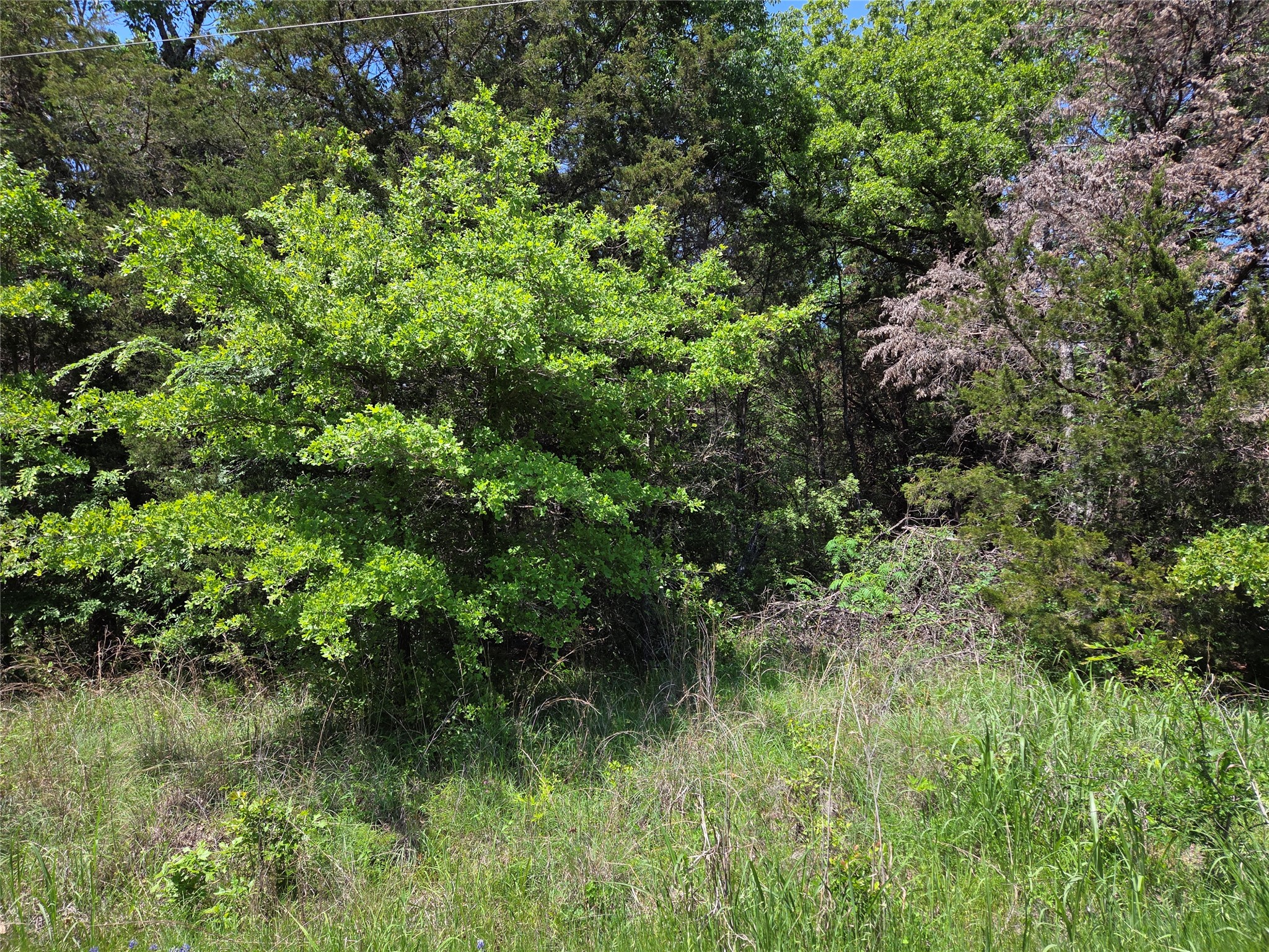 Lot 10 SE CR 3258