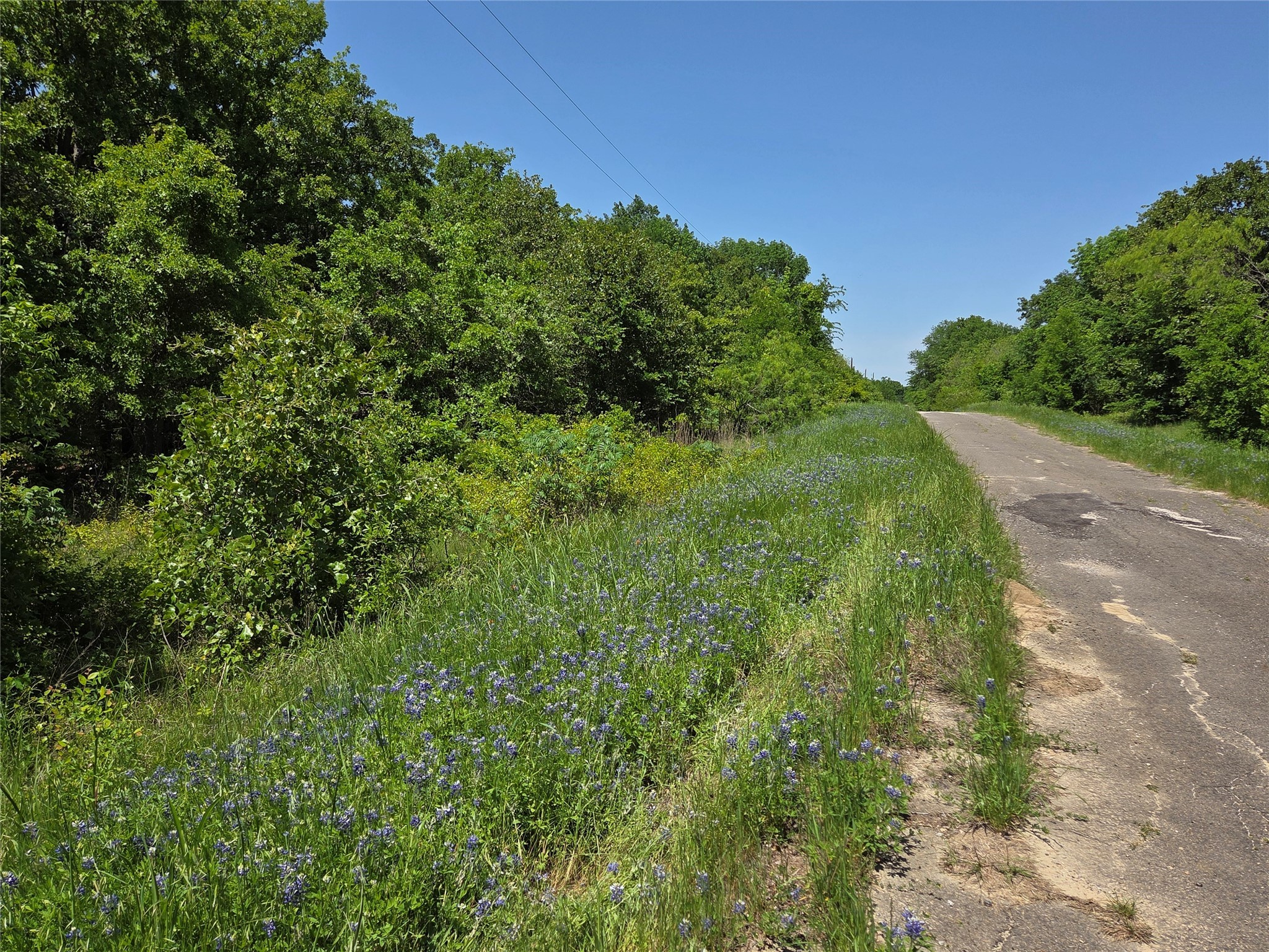 Lot 10 SE CR 3258