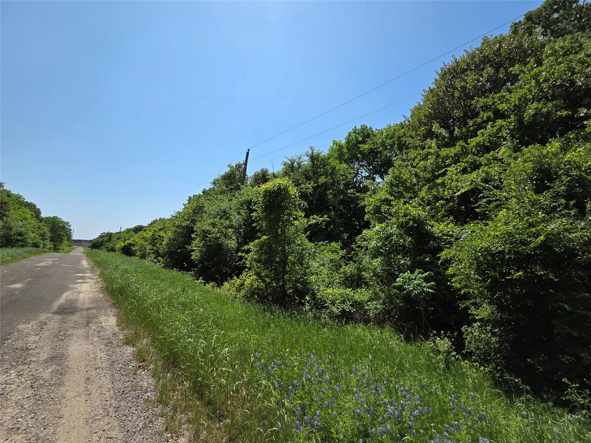 Lot 10 SE CR 3258
