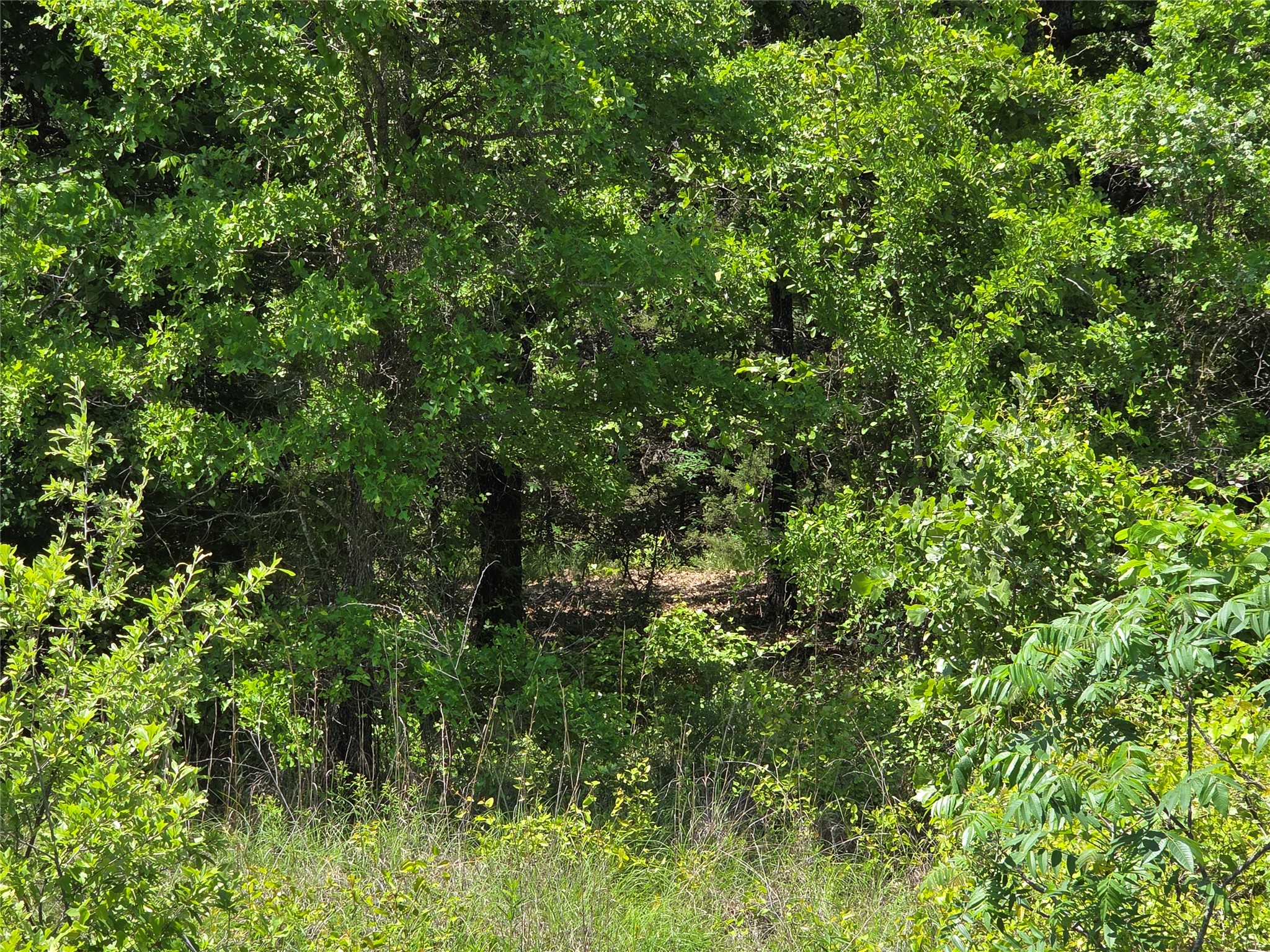 Lot 10 SE CR 3258