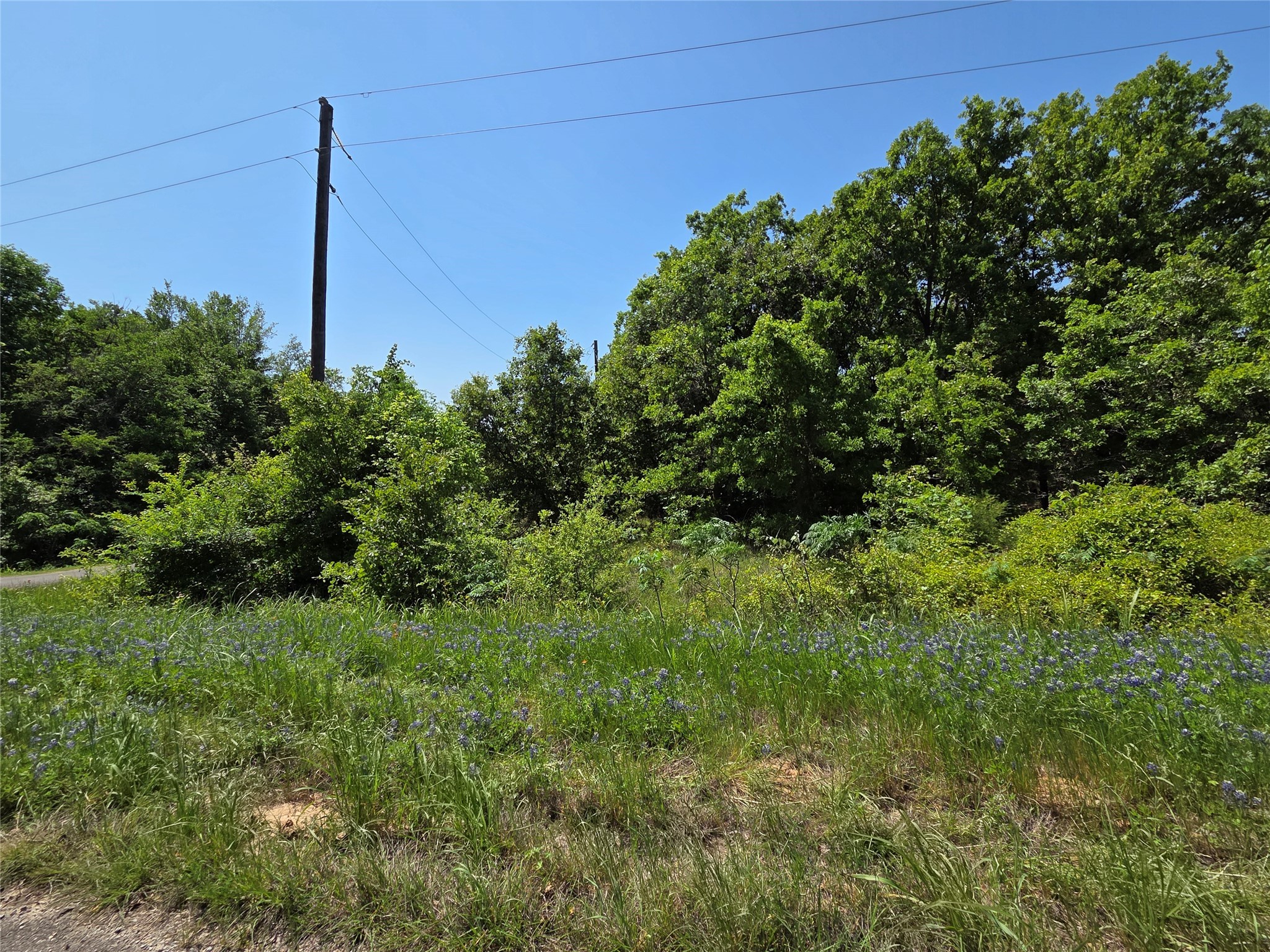 Lot 10 SE CR 3258