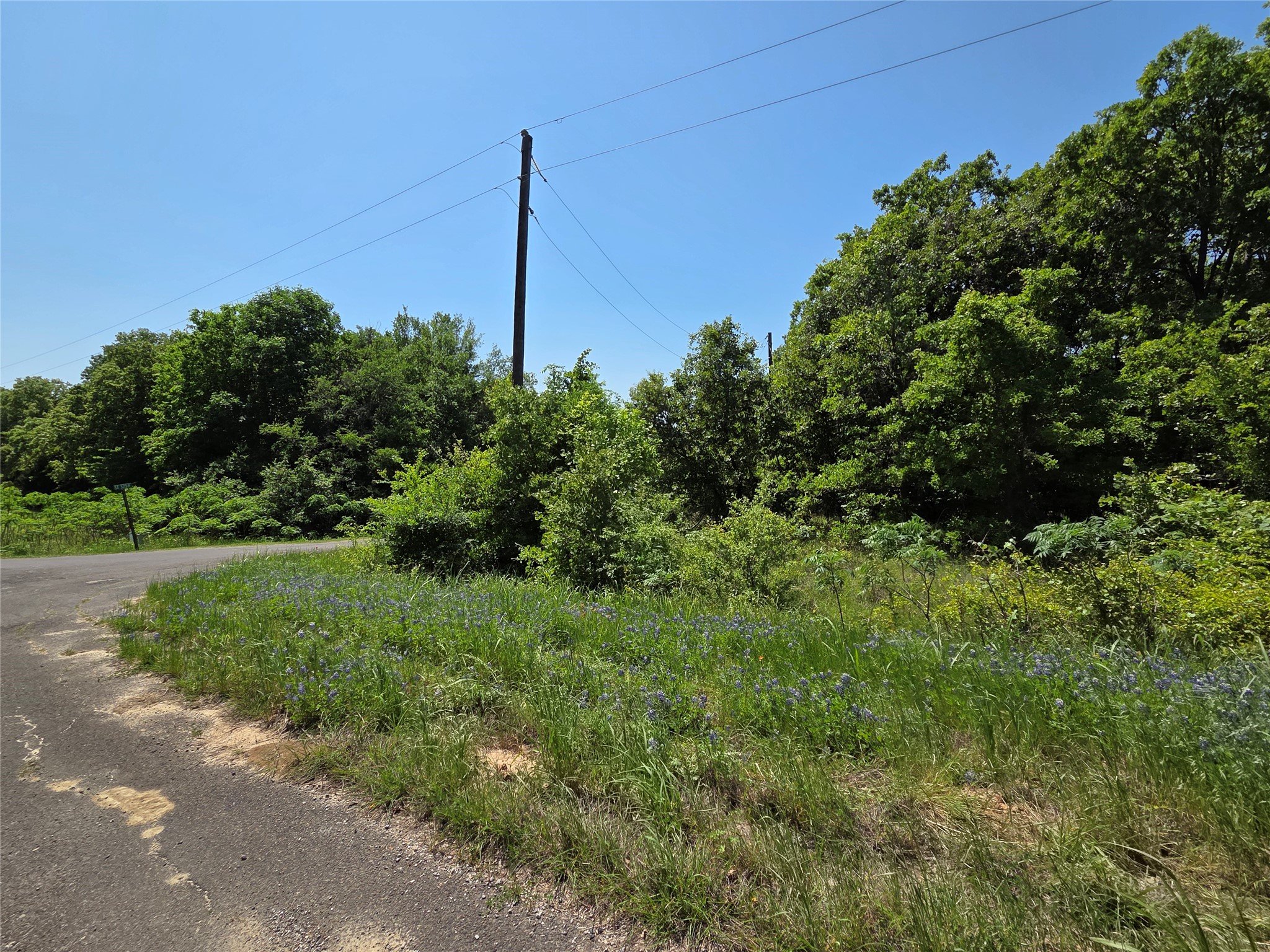 Lot 10 SE CR 3258