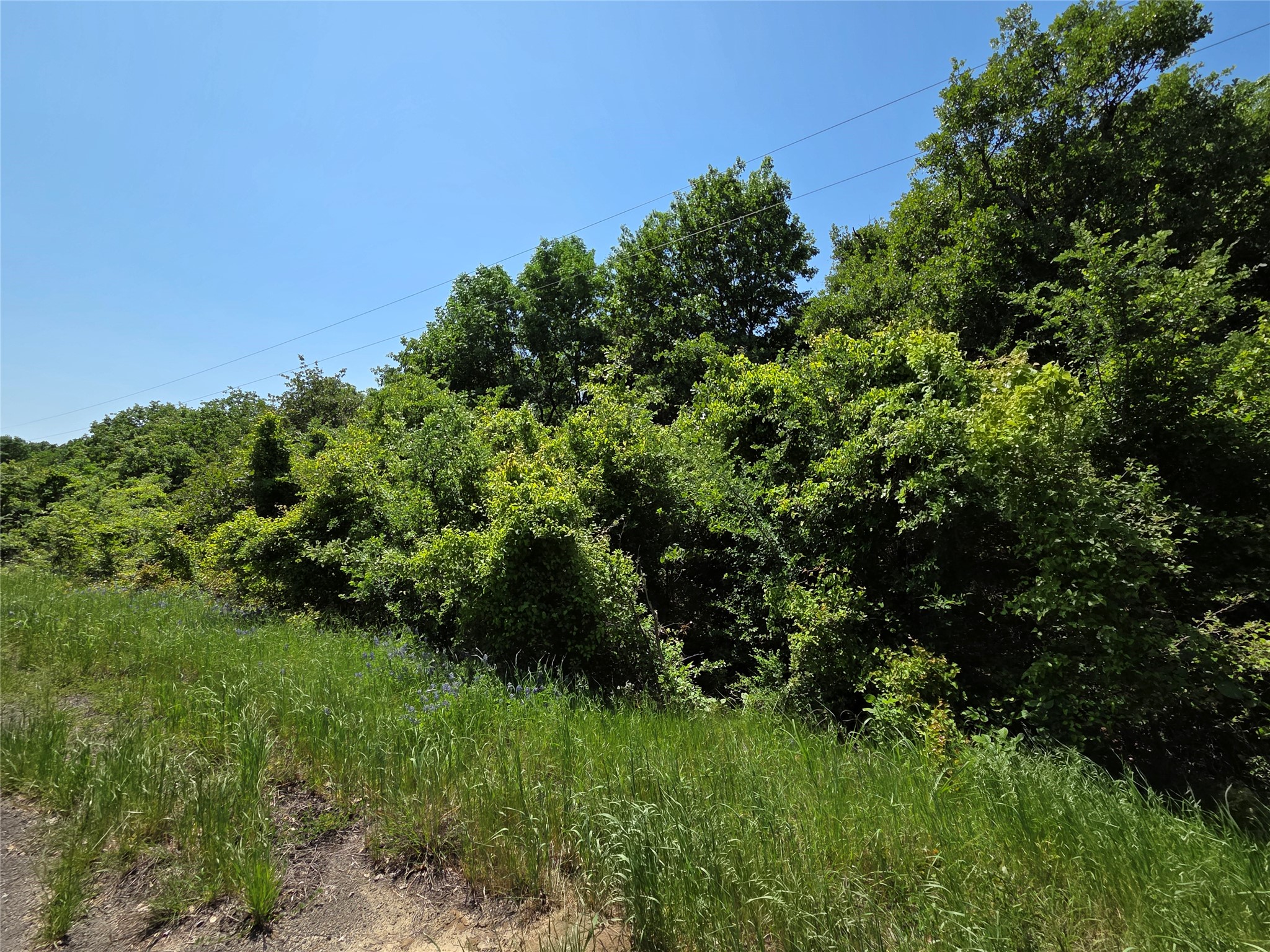 Lot 10 SE CR 3258