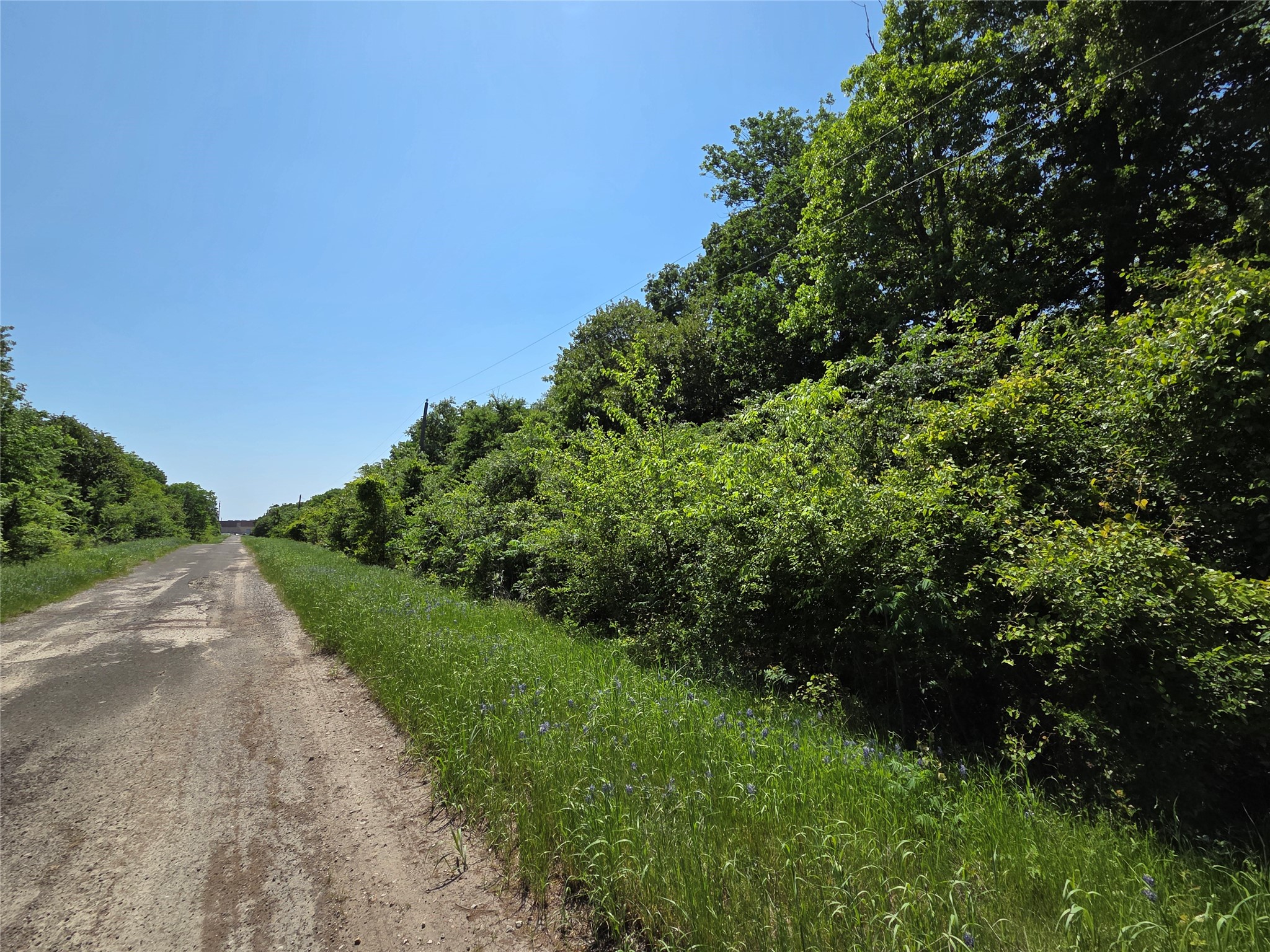 Lot 10 SE CR 3258