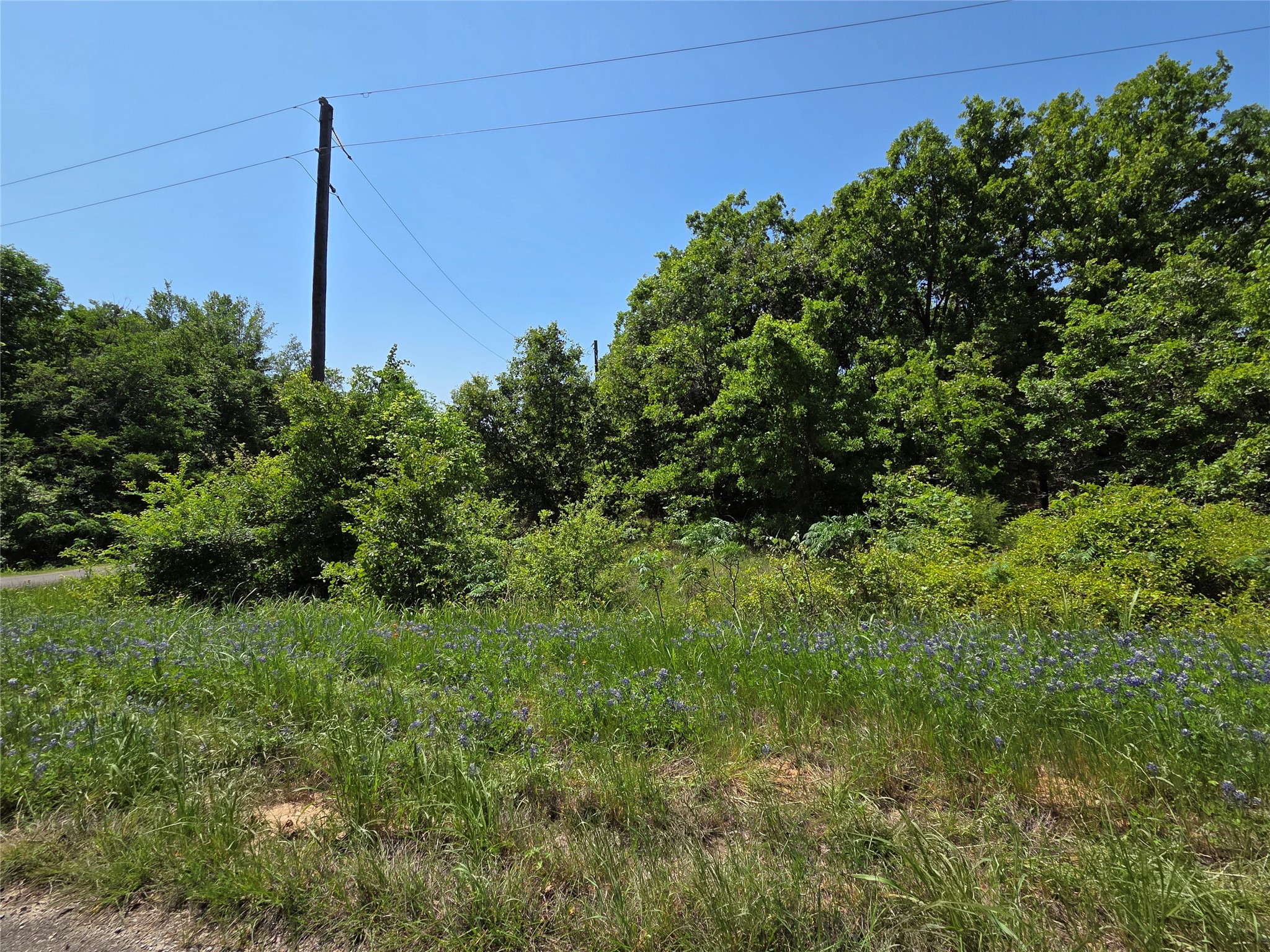 Lot 10 SE CR 3258