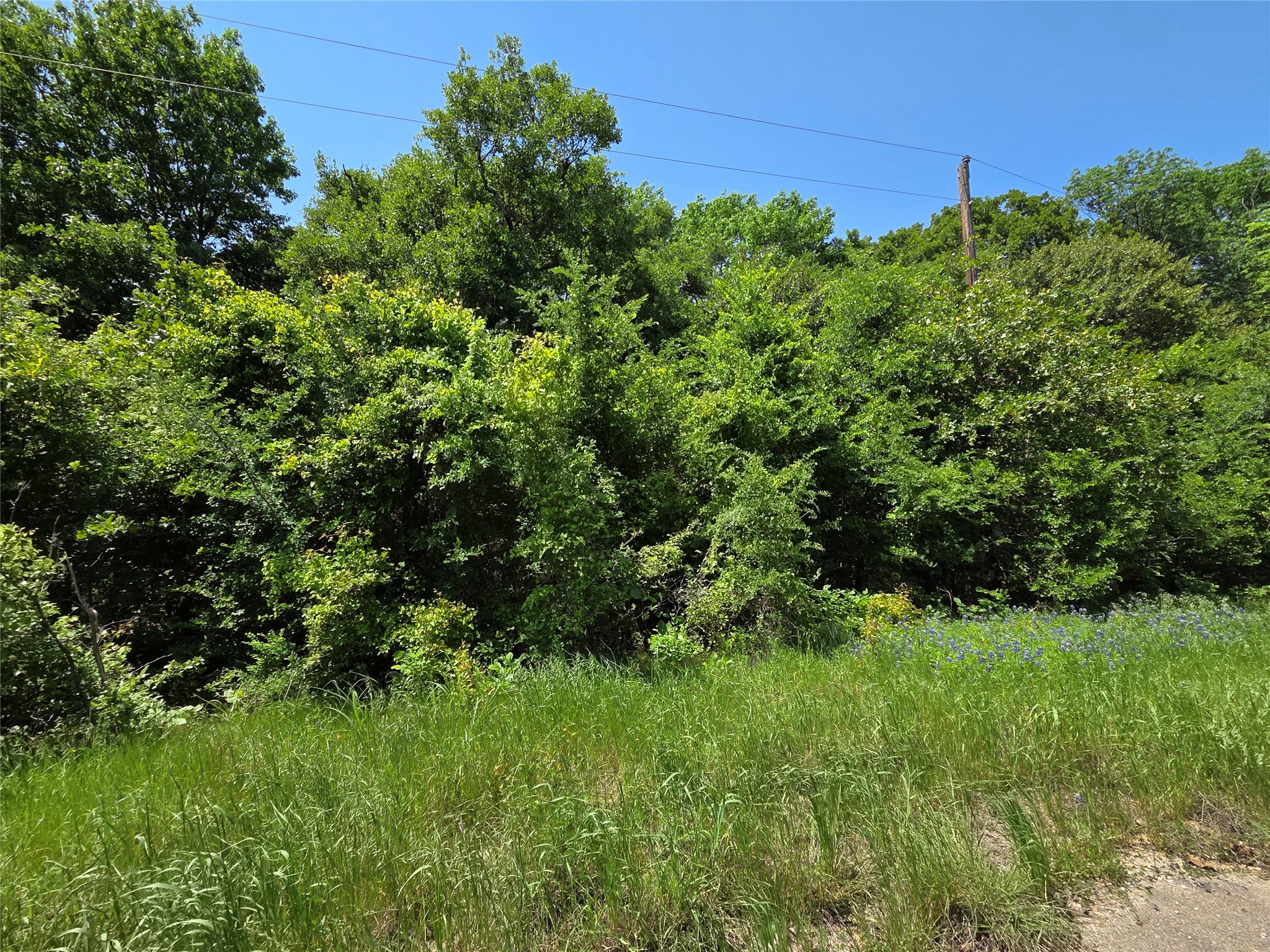 Lot 10 SE CR 3258