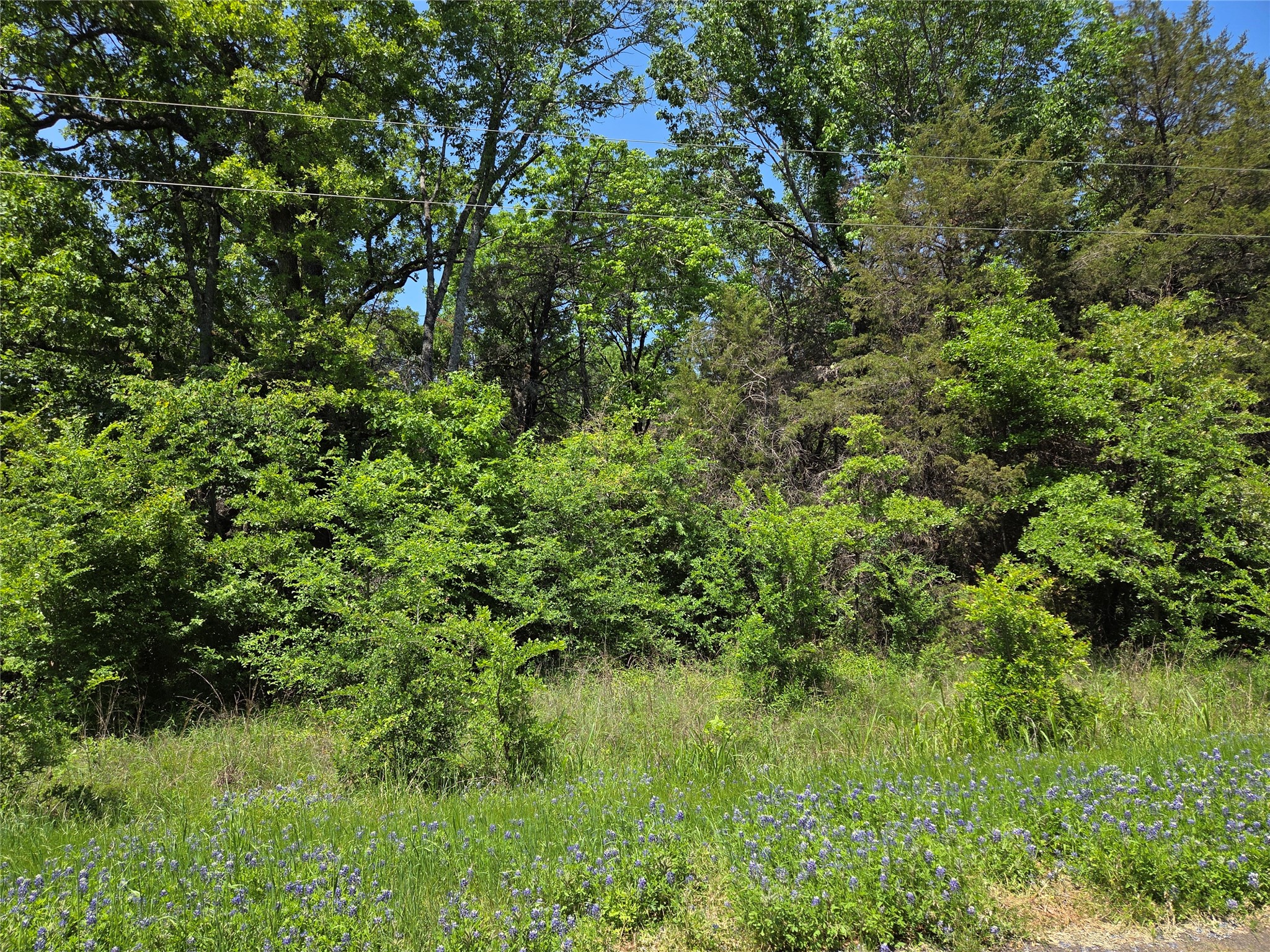 Lot 10 SE CR 3258