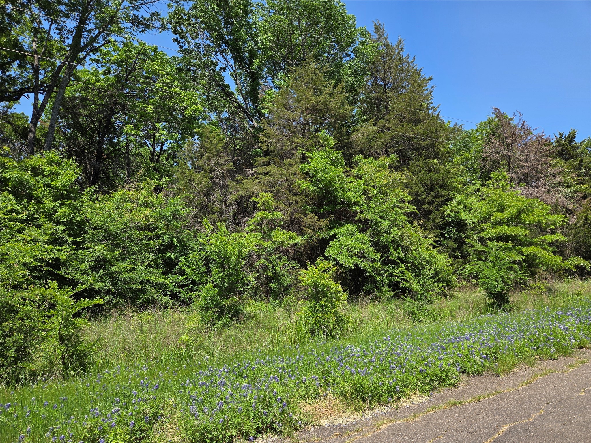Lot 10 SE CR 3258