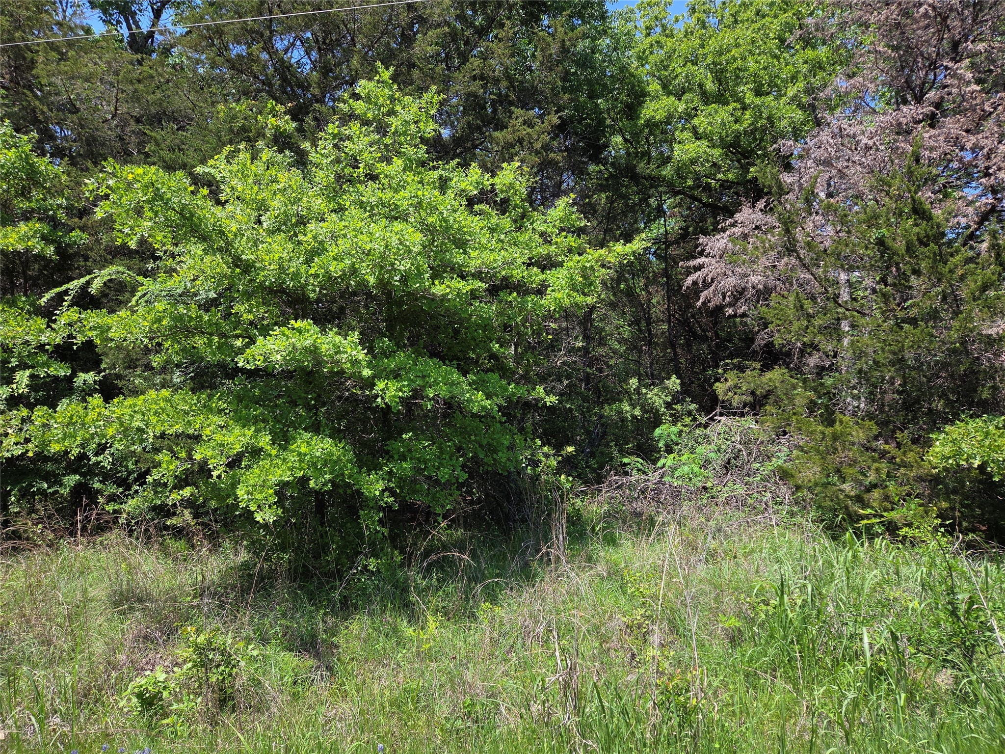 Lot 10 SE CR 3258