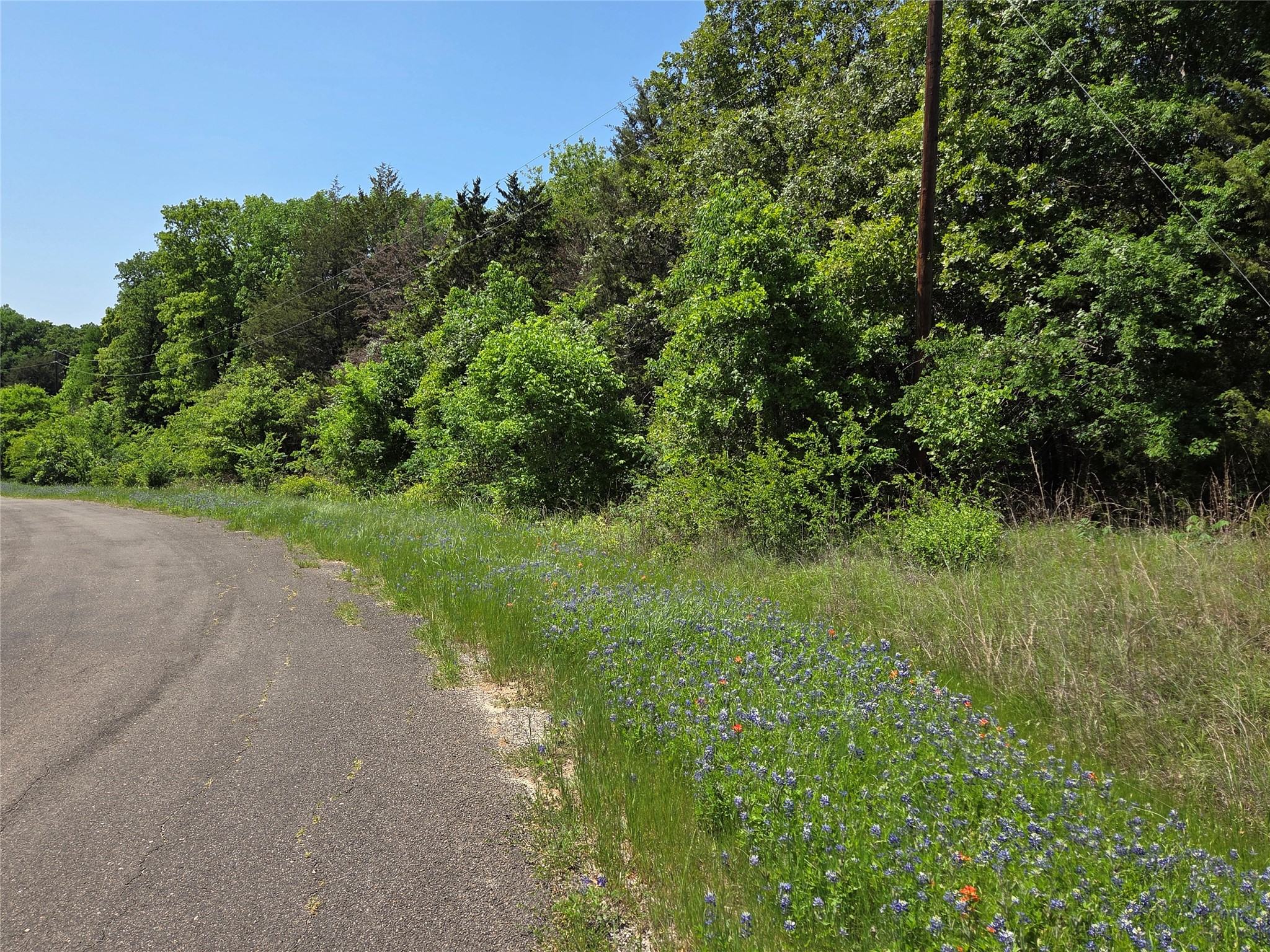 Lot 10 SE CR 3258