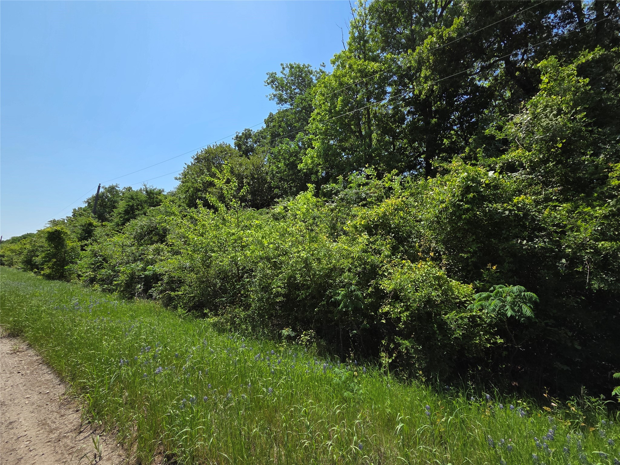 Lot 10 SE CR 3258