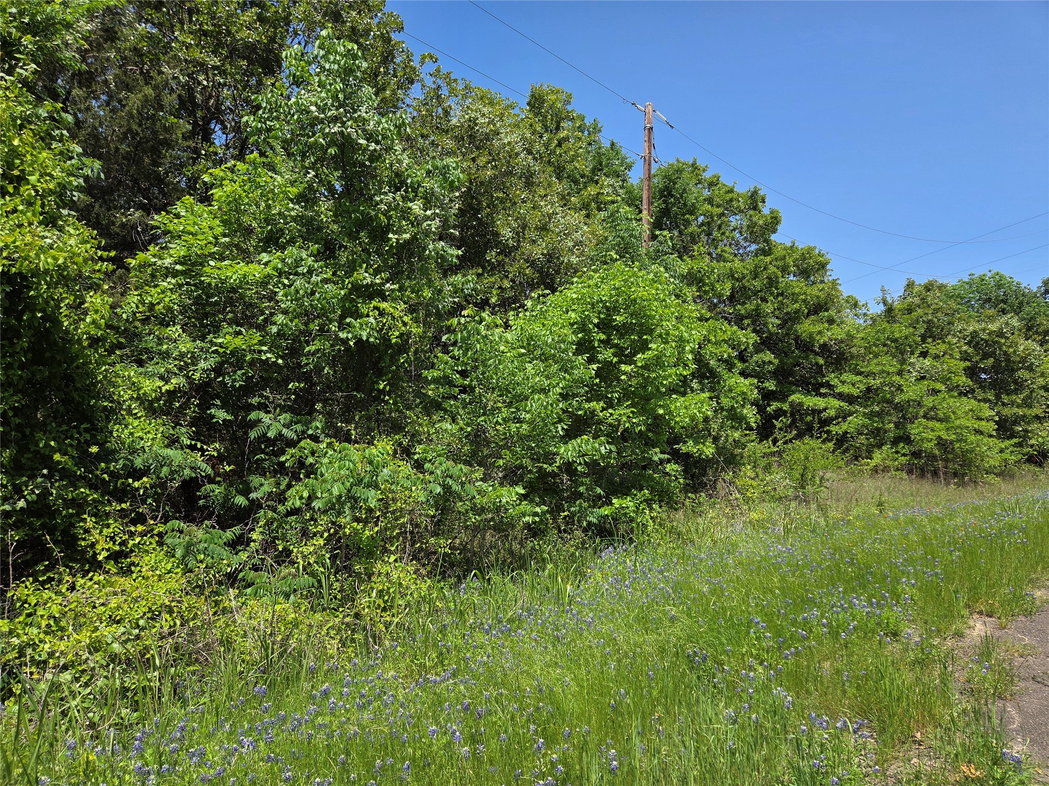 Lot 10 SE CR 3258