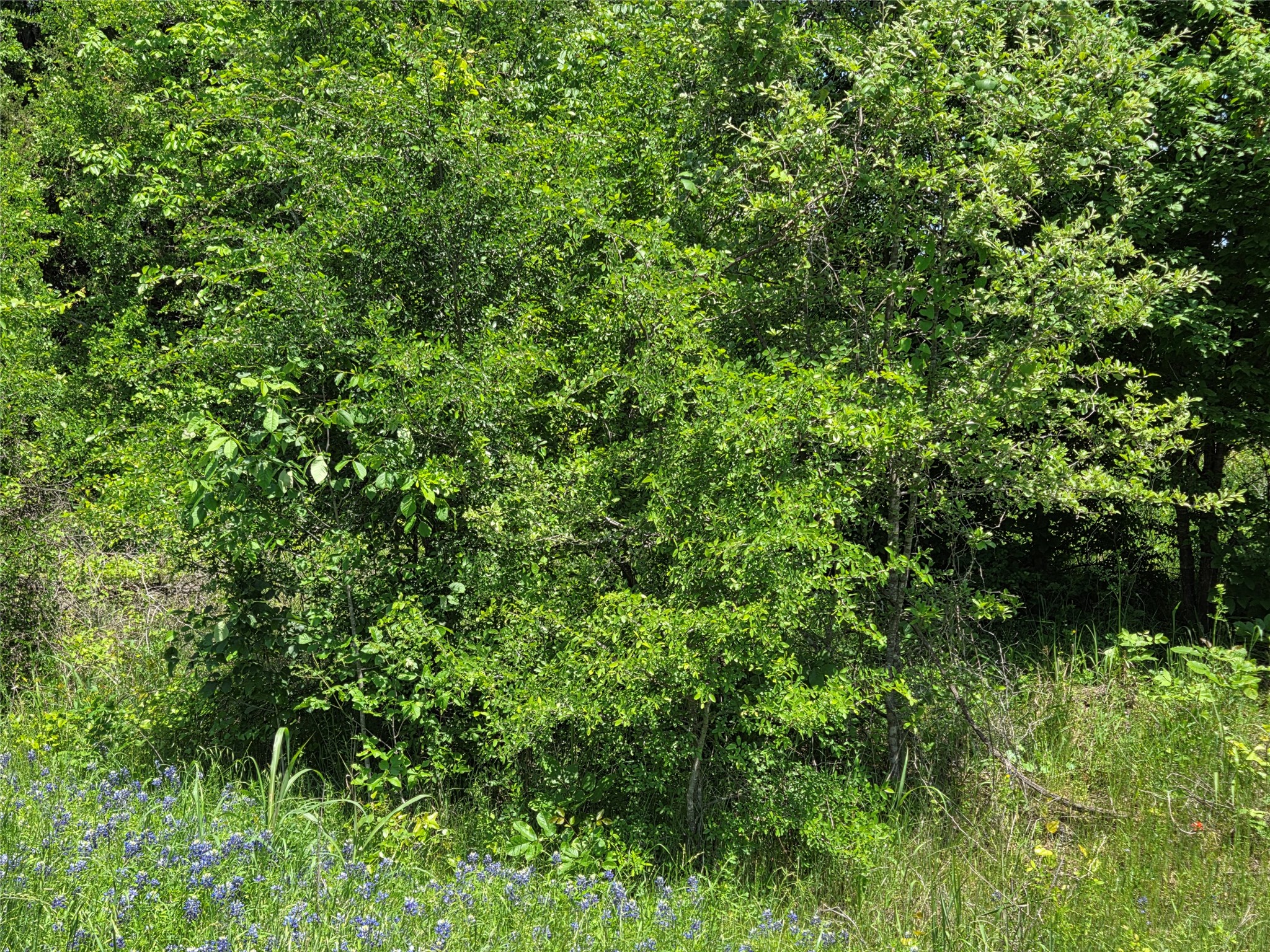 Lot 10 SE CR 3258