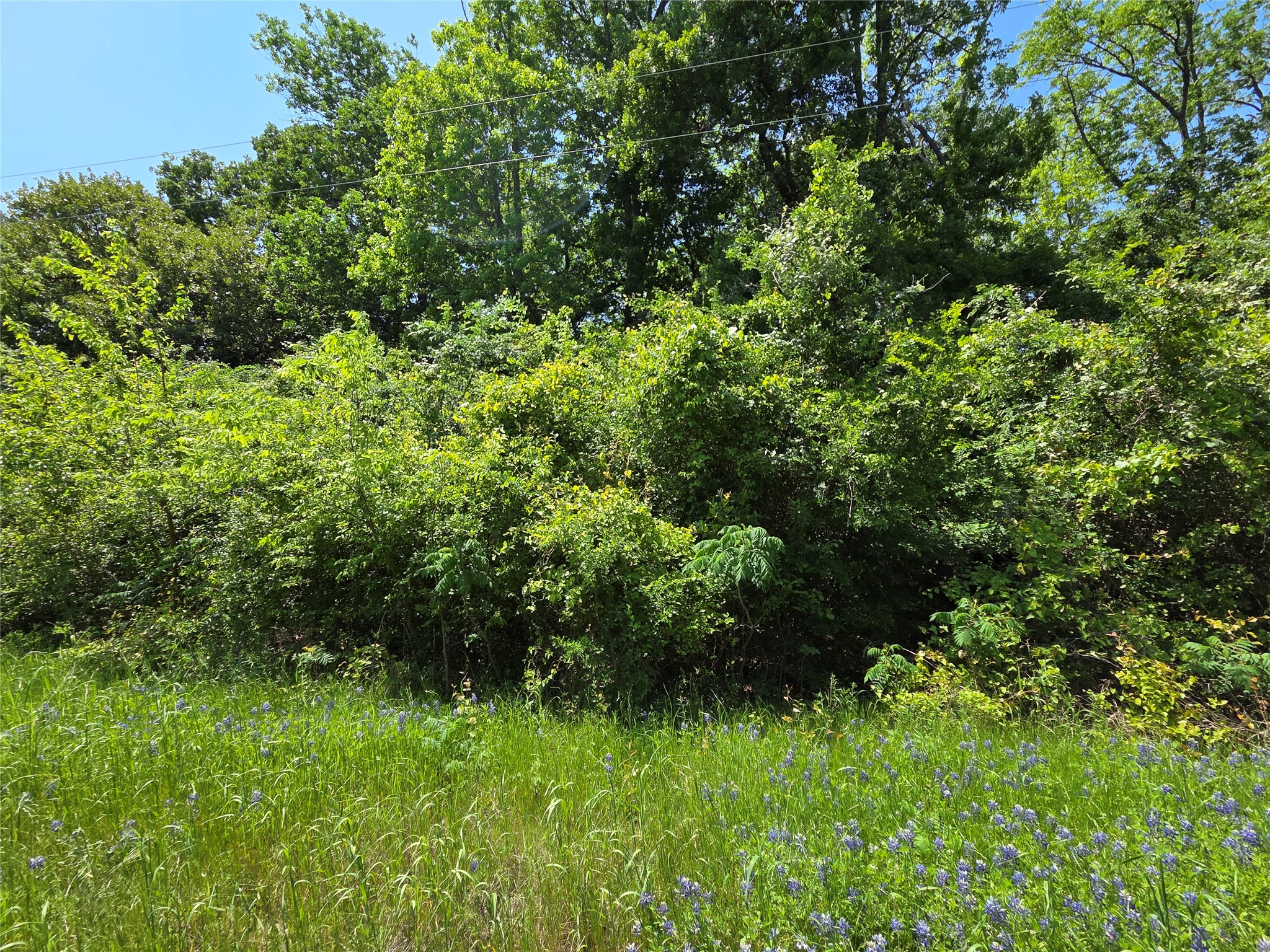 Lot 10 SE CR 3258