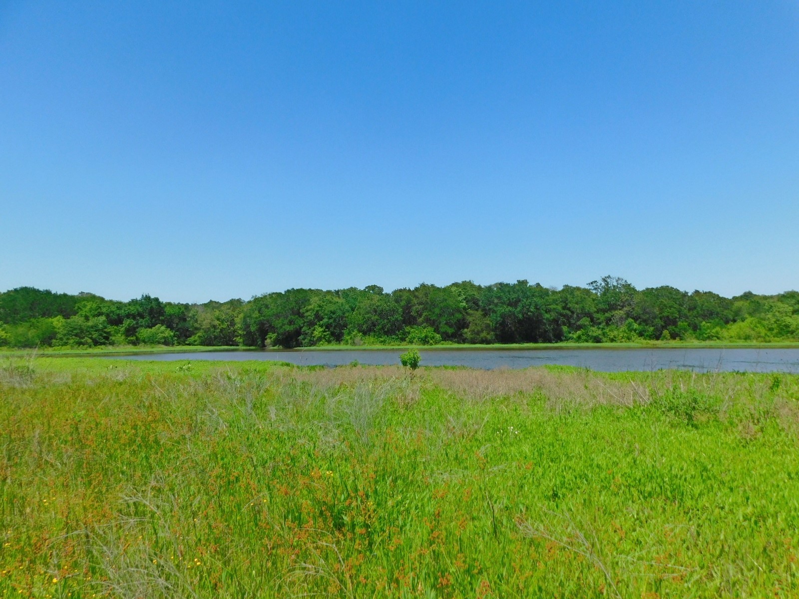 TBD SE County Road 4030