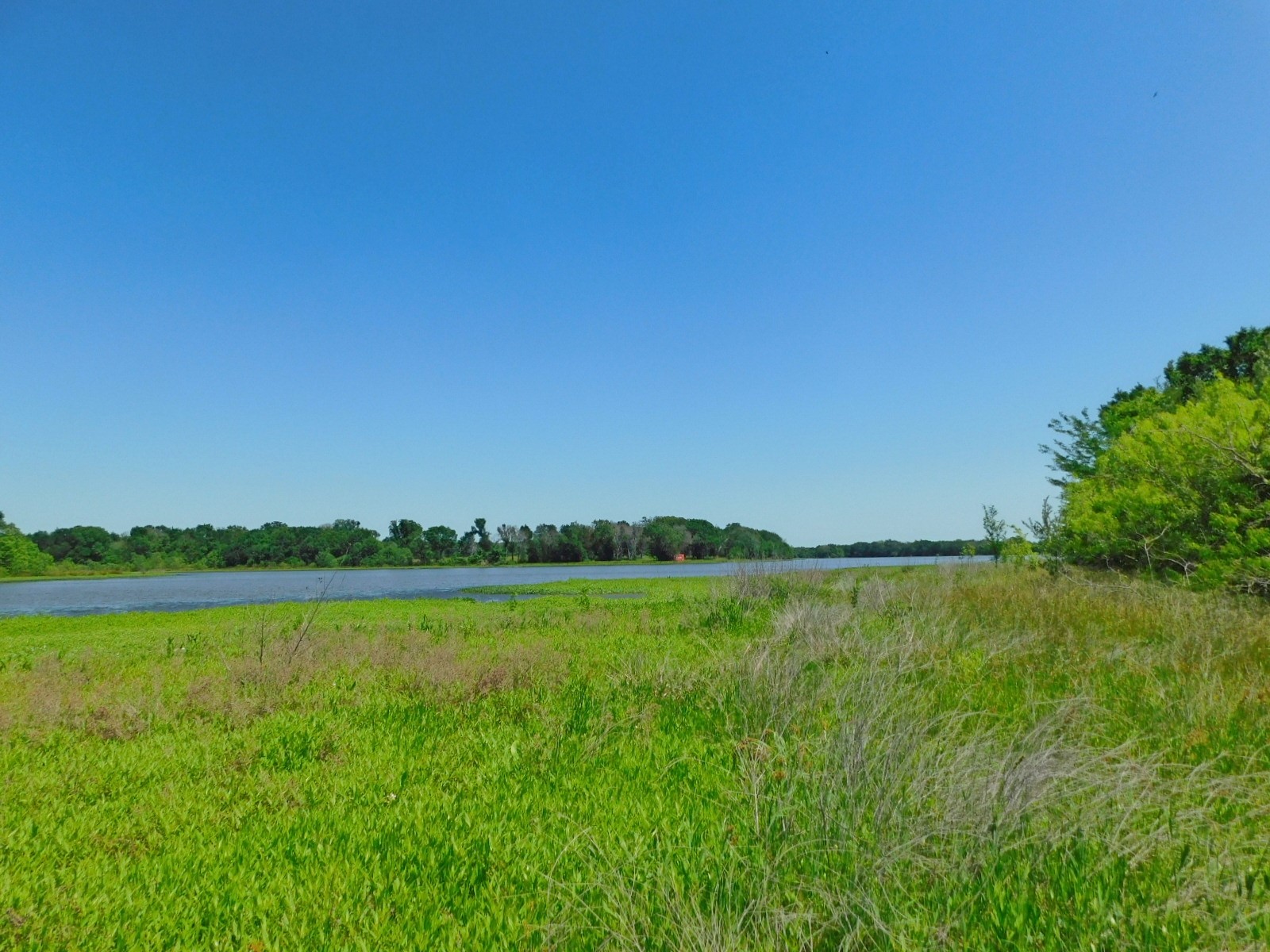 TBD SE County Road 4030